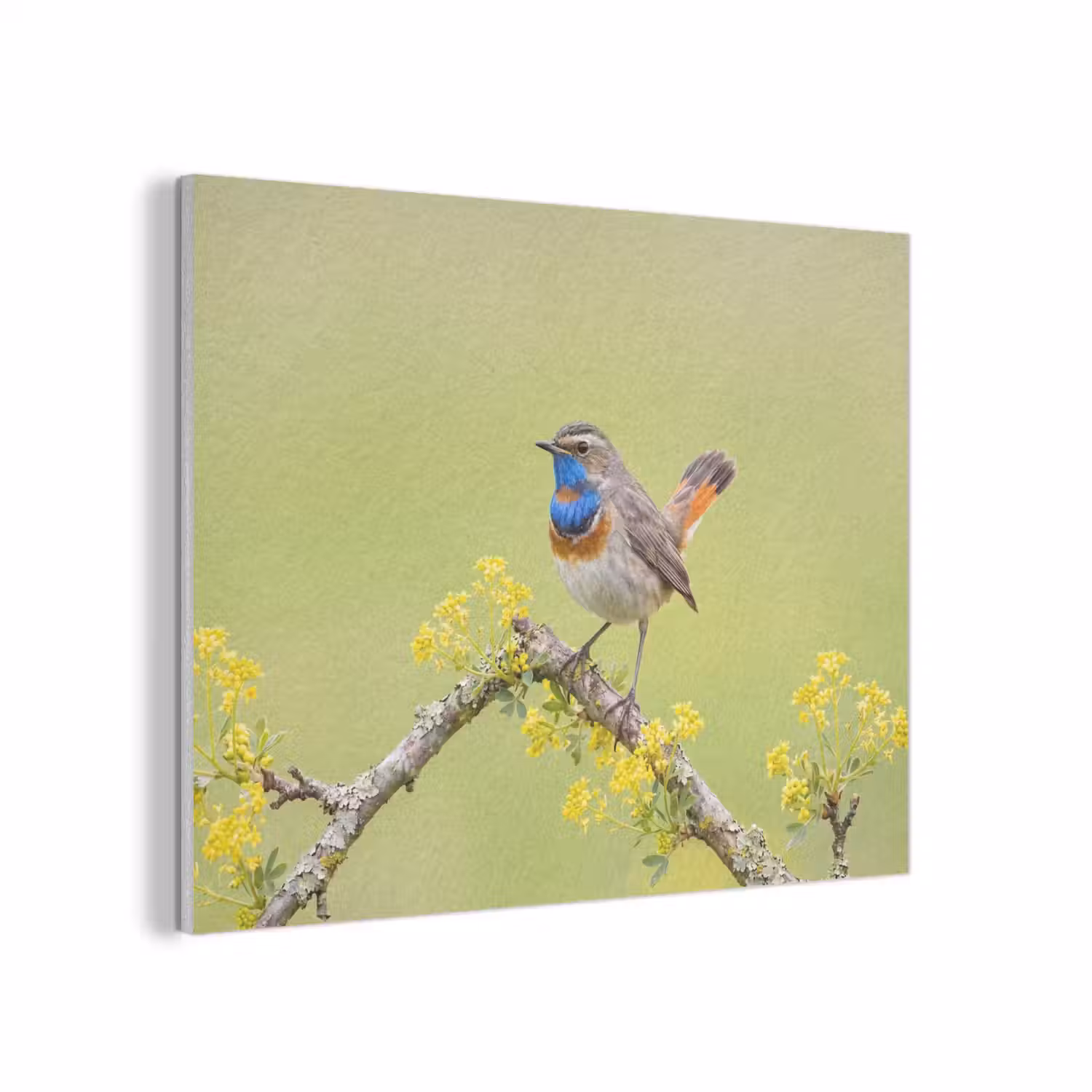 Vogel - Tak - Natuur - Kleurrijk PET vilt klein -3d