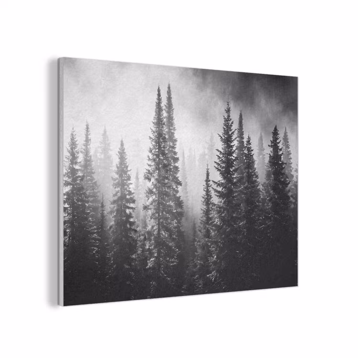 Bos - Mist - Winter - Monochroom - Natuur PET vilt klein -3d