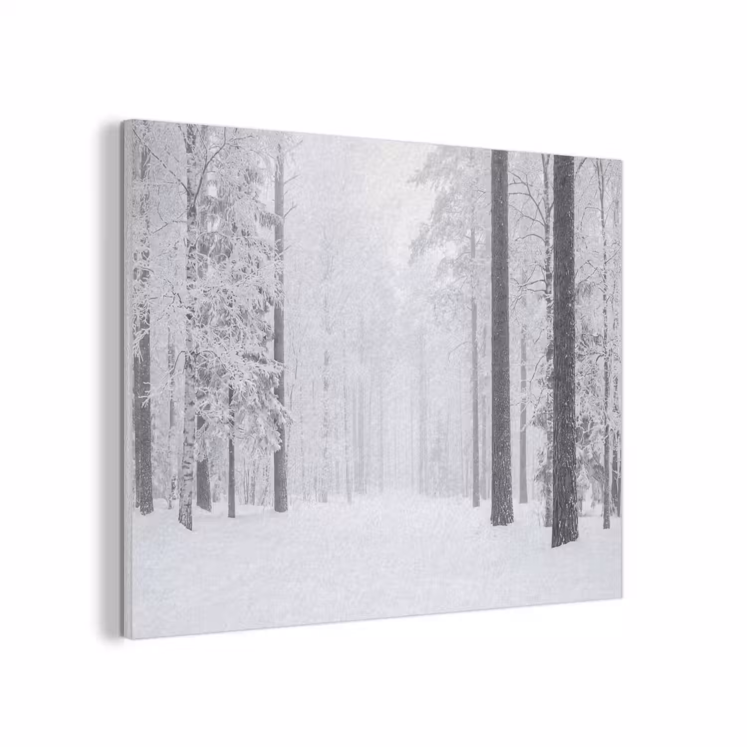 Bos - Sneeuw - Pad - Winter - Stilte PET vilt klein -3d