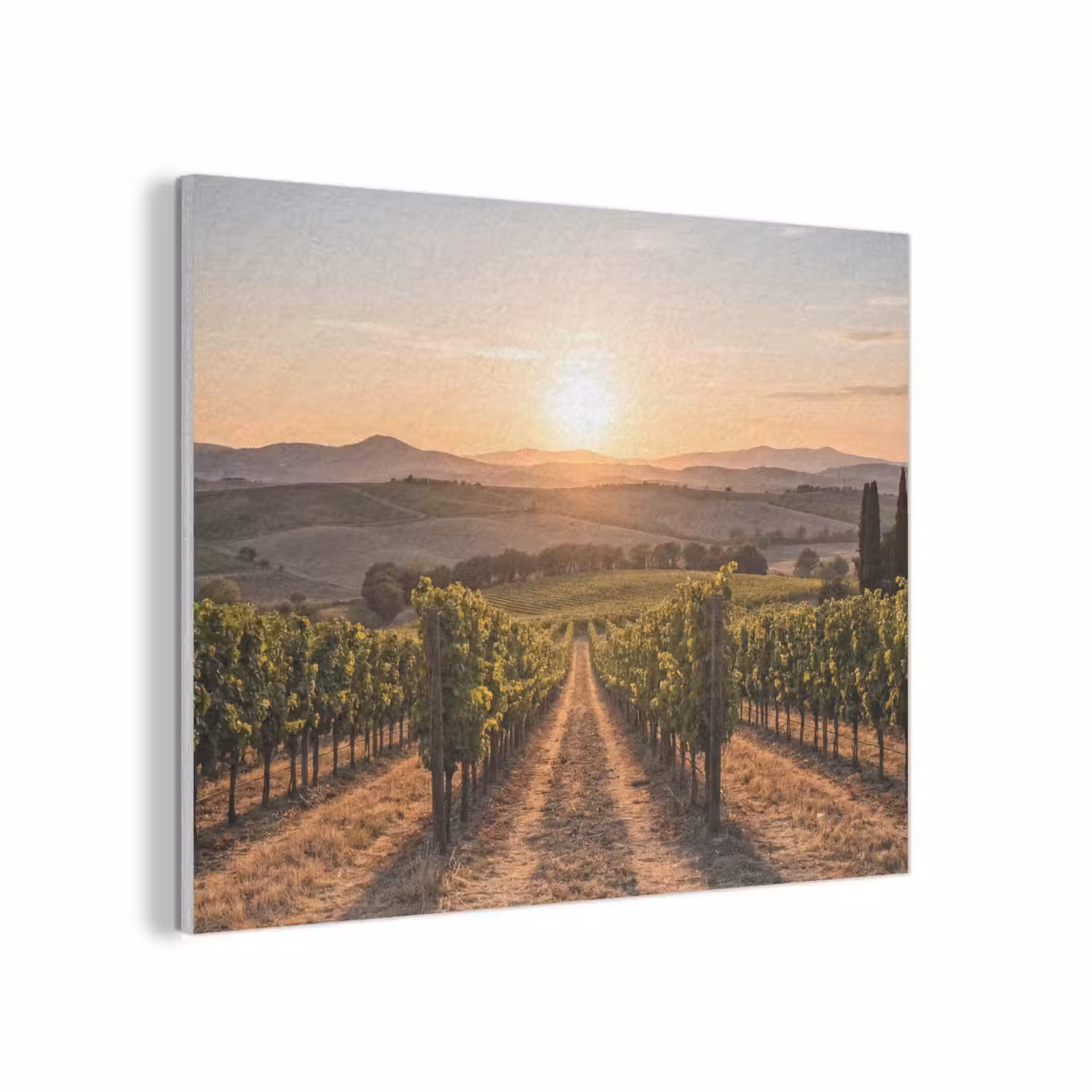 Wijngaard - Zonsondergang - Landschap PET vilt klein -3d