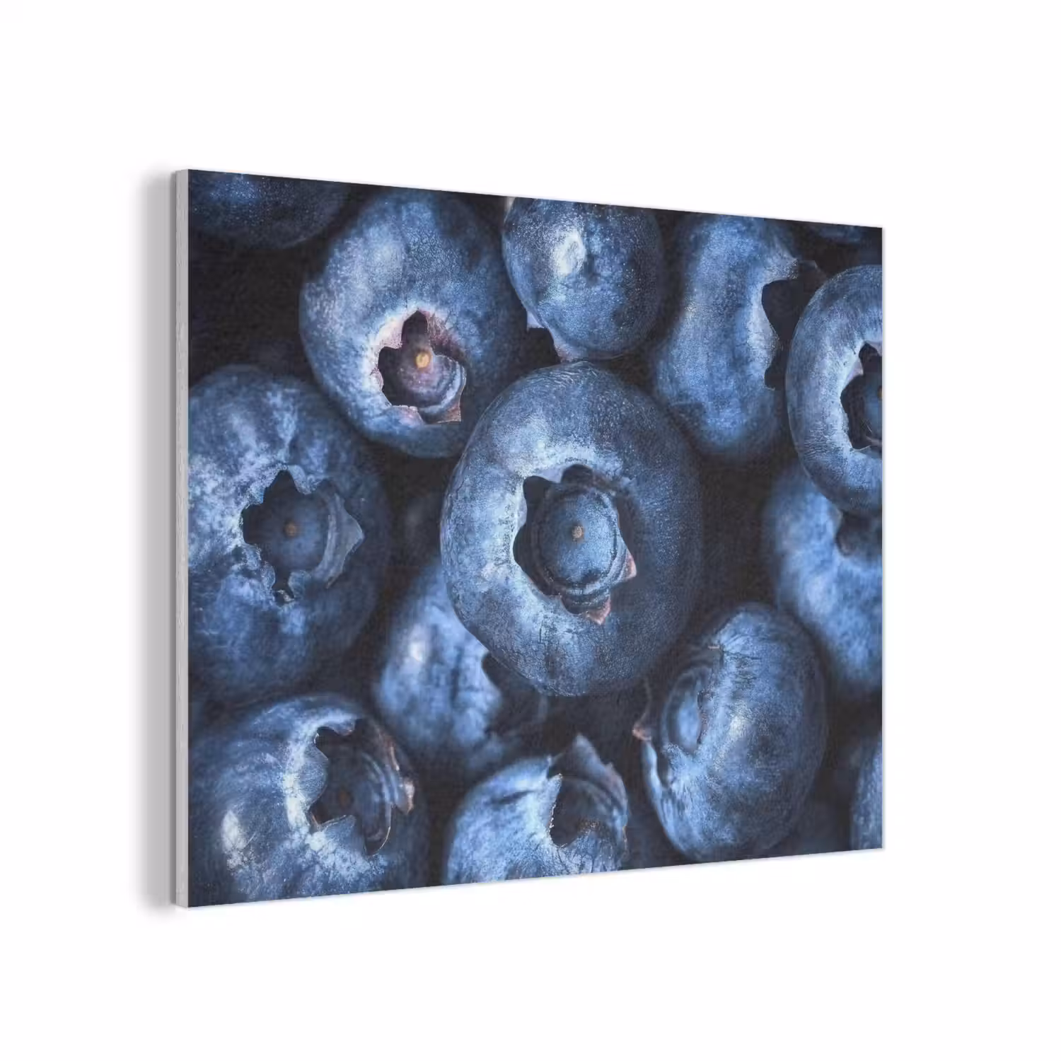 Bessen - Blauw - Fruit PET vilt klein -3d