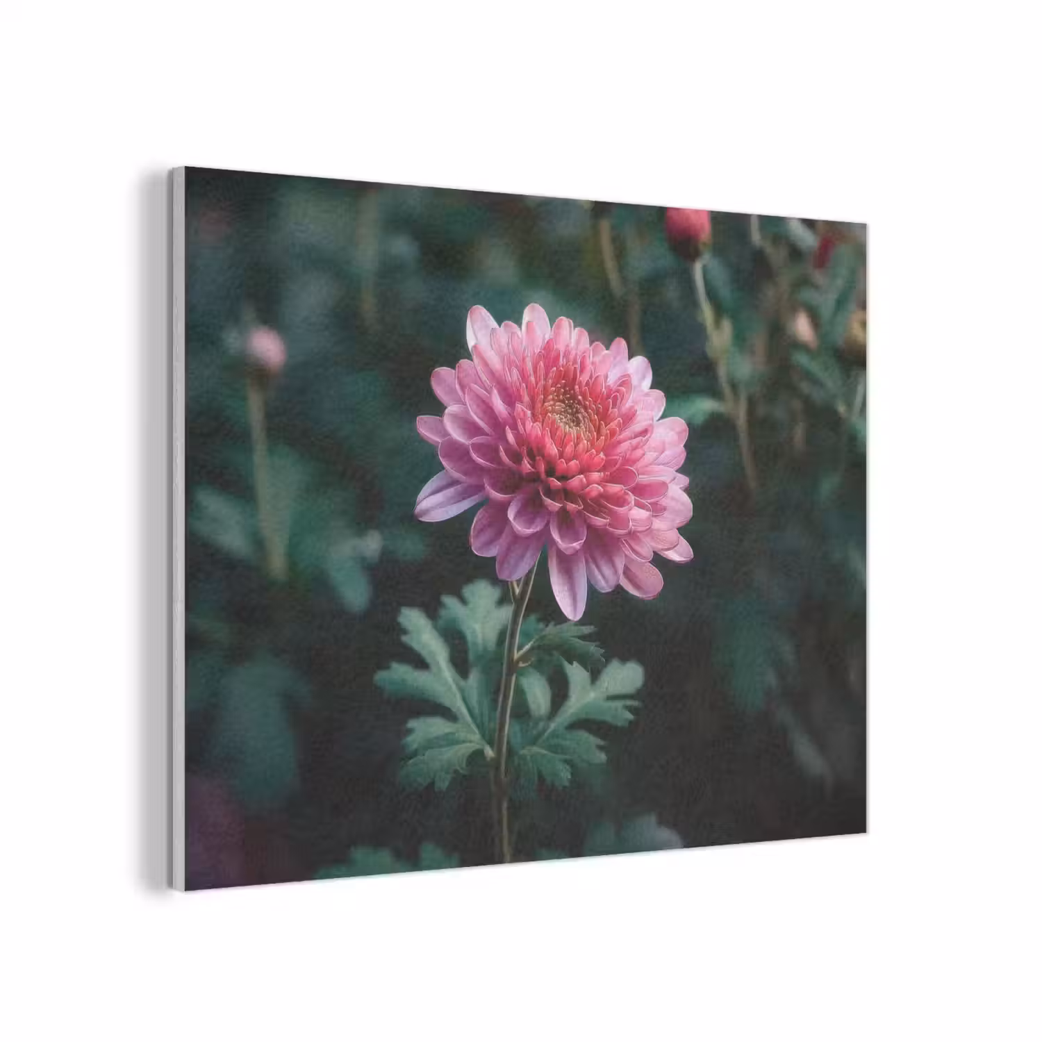 Blad - Chrysant - Roze - Schaduw PET vilt klein -3d