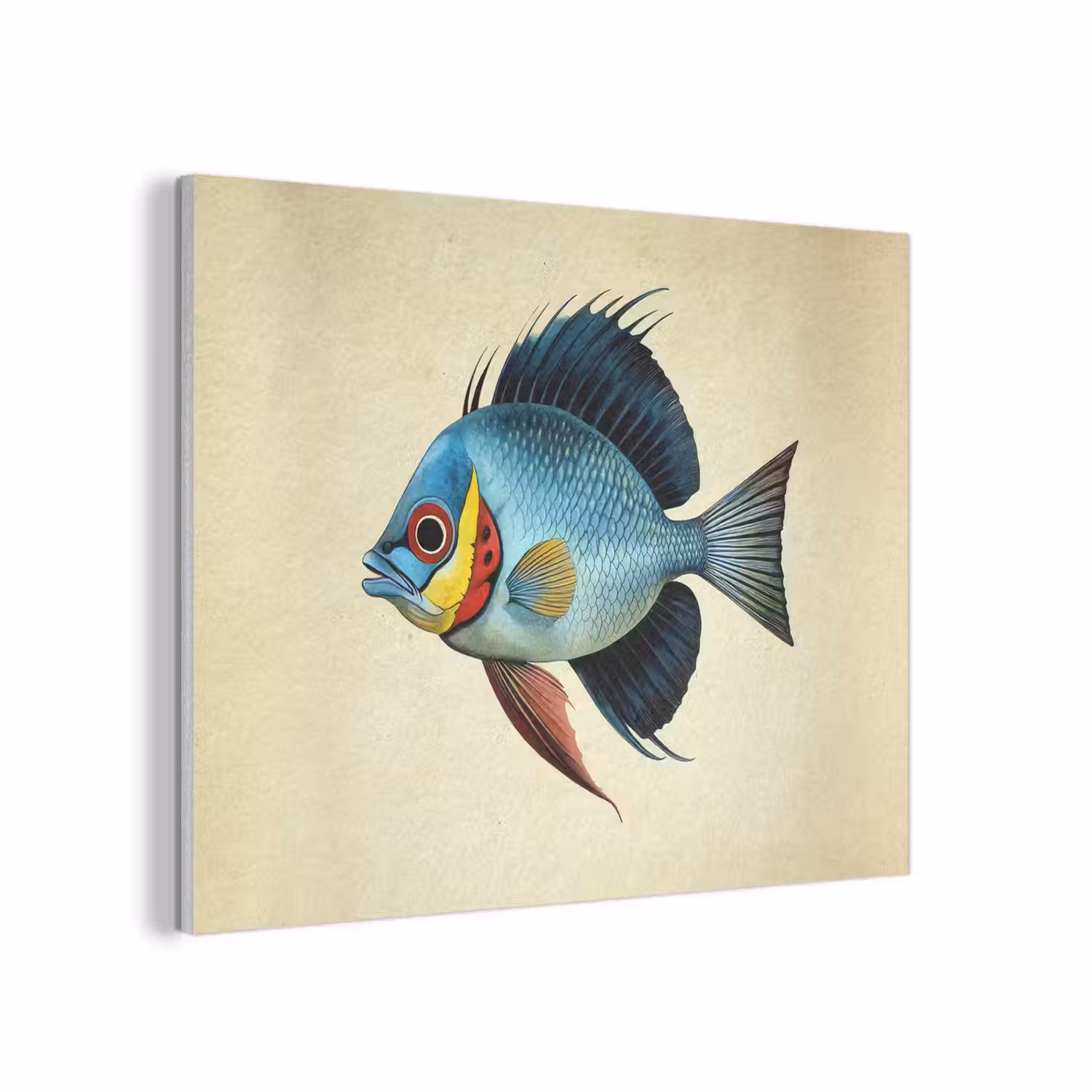 Blauw - Kieuwen - Vis - Illustratie PET vilt klein -3d