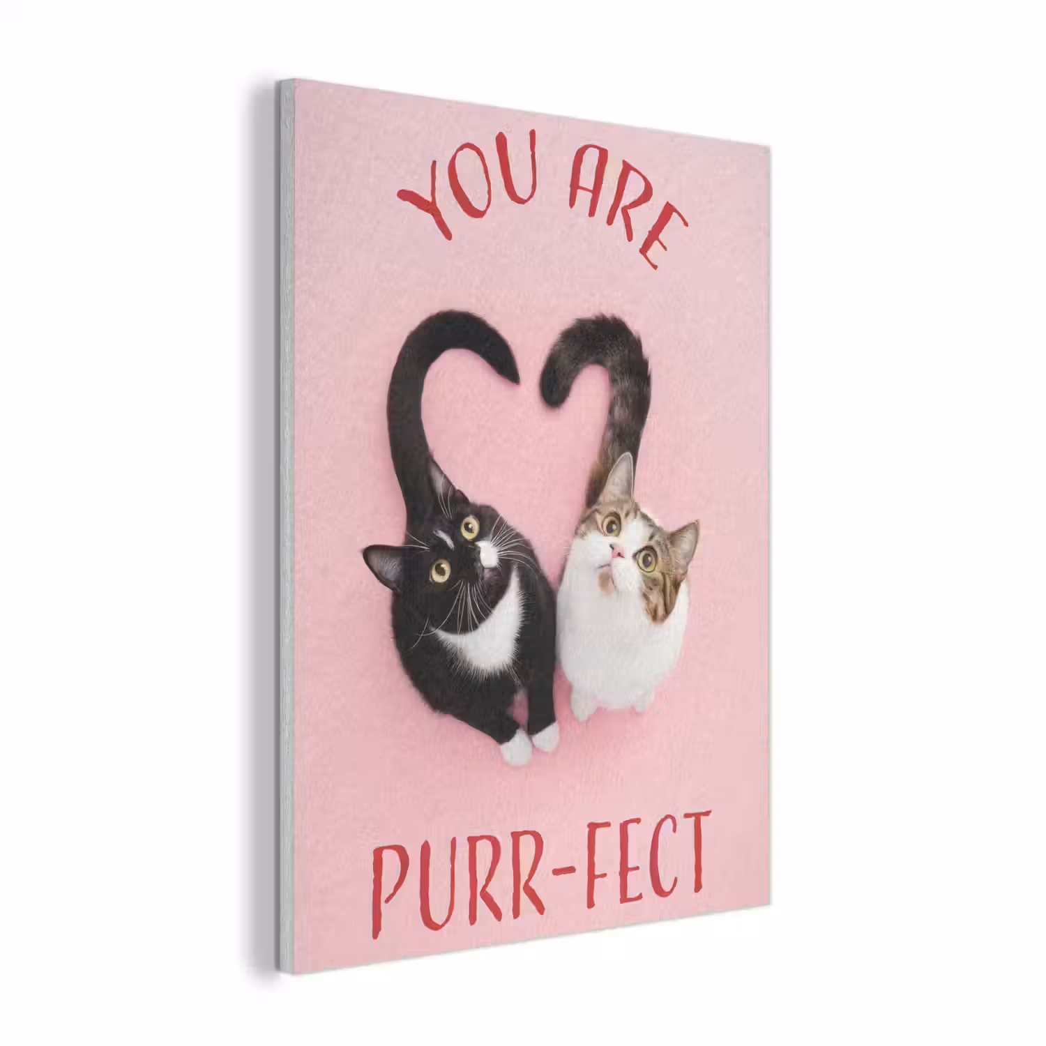 Kat - Hart - Tekst - Valentijn PET vilt klein -3d
