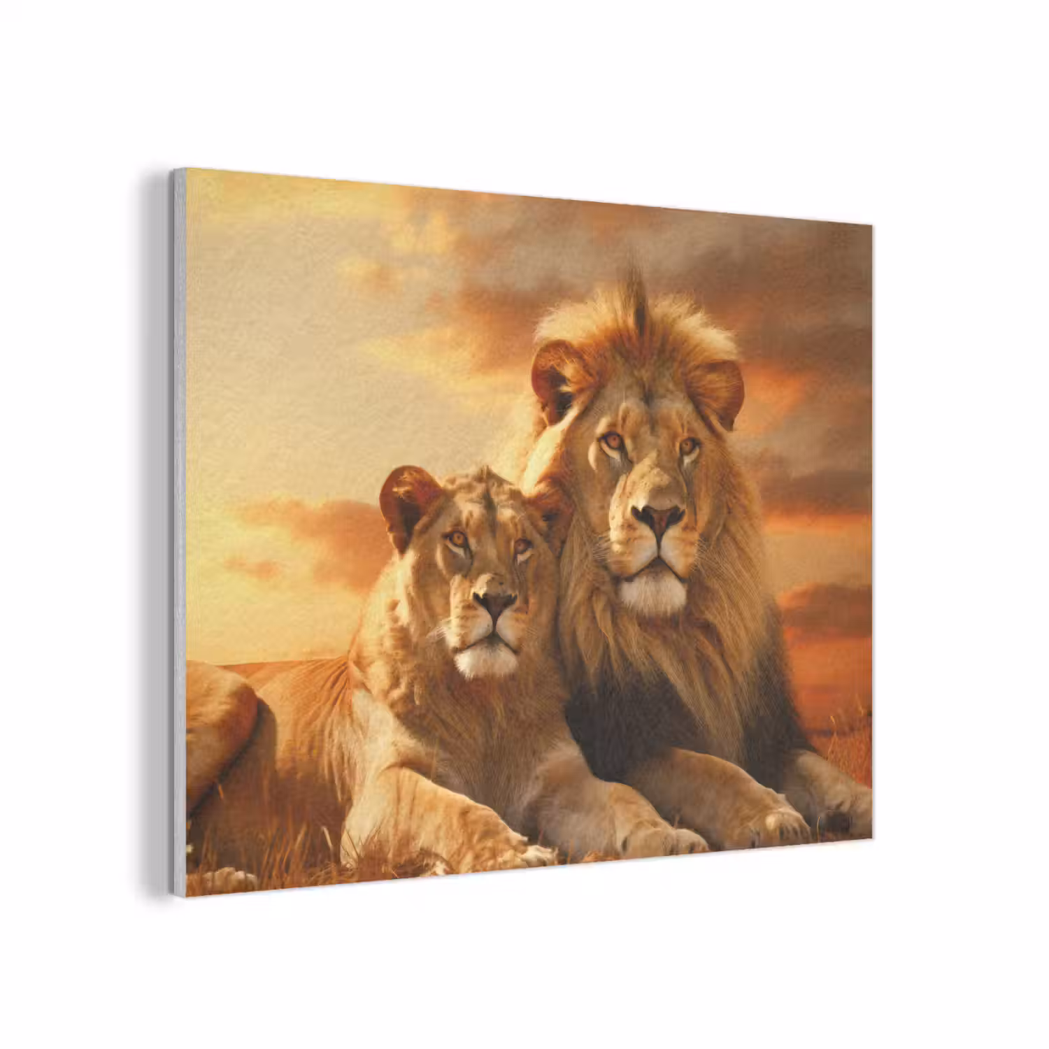 Leeuwen - Zonsondergang - Afrika - Savanne - Dieren PET vilt klein -3d