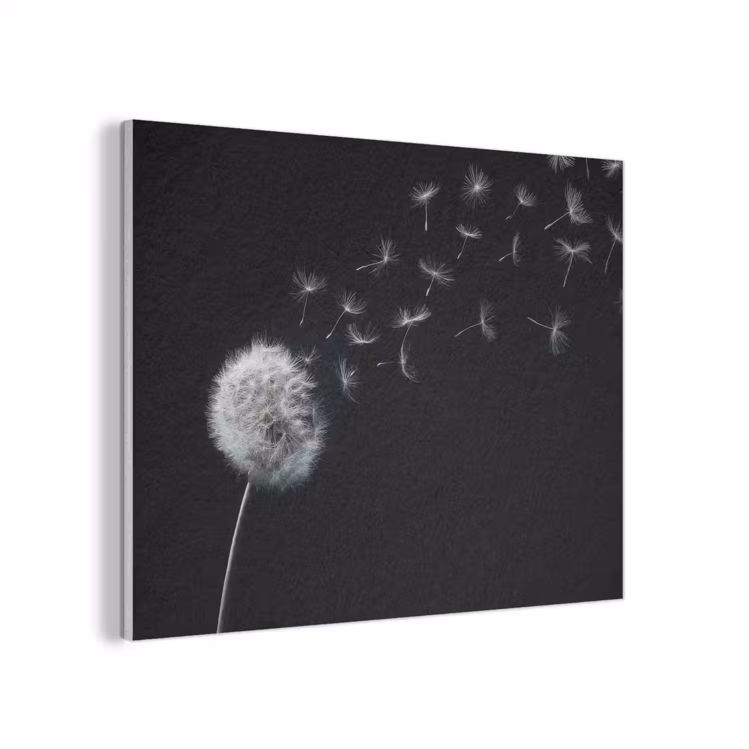 Paardenbloem - Zwart - Natuur PET vilt klein -3d
