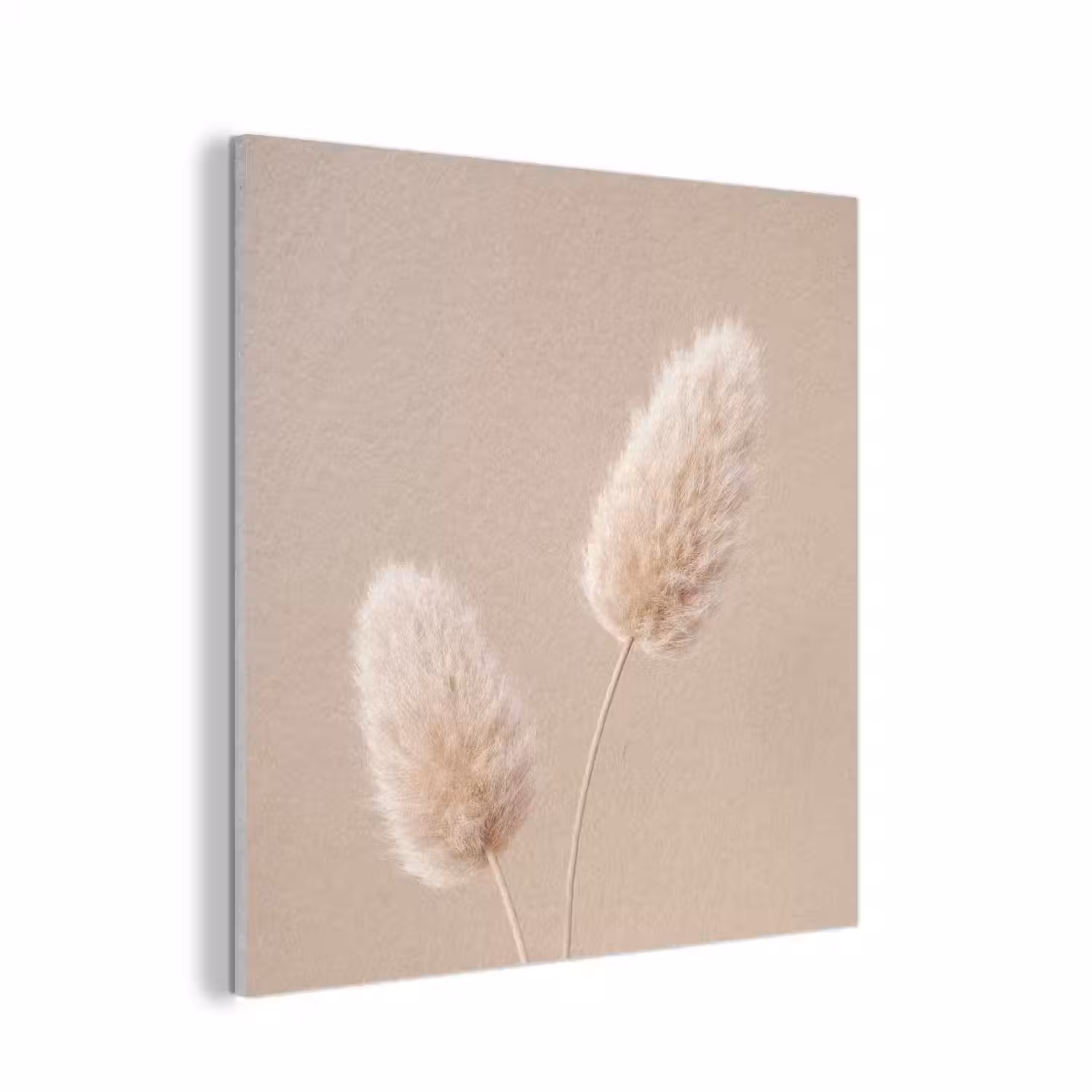 Pampas pluimen - Beige - Planten PET vilt klein -3d