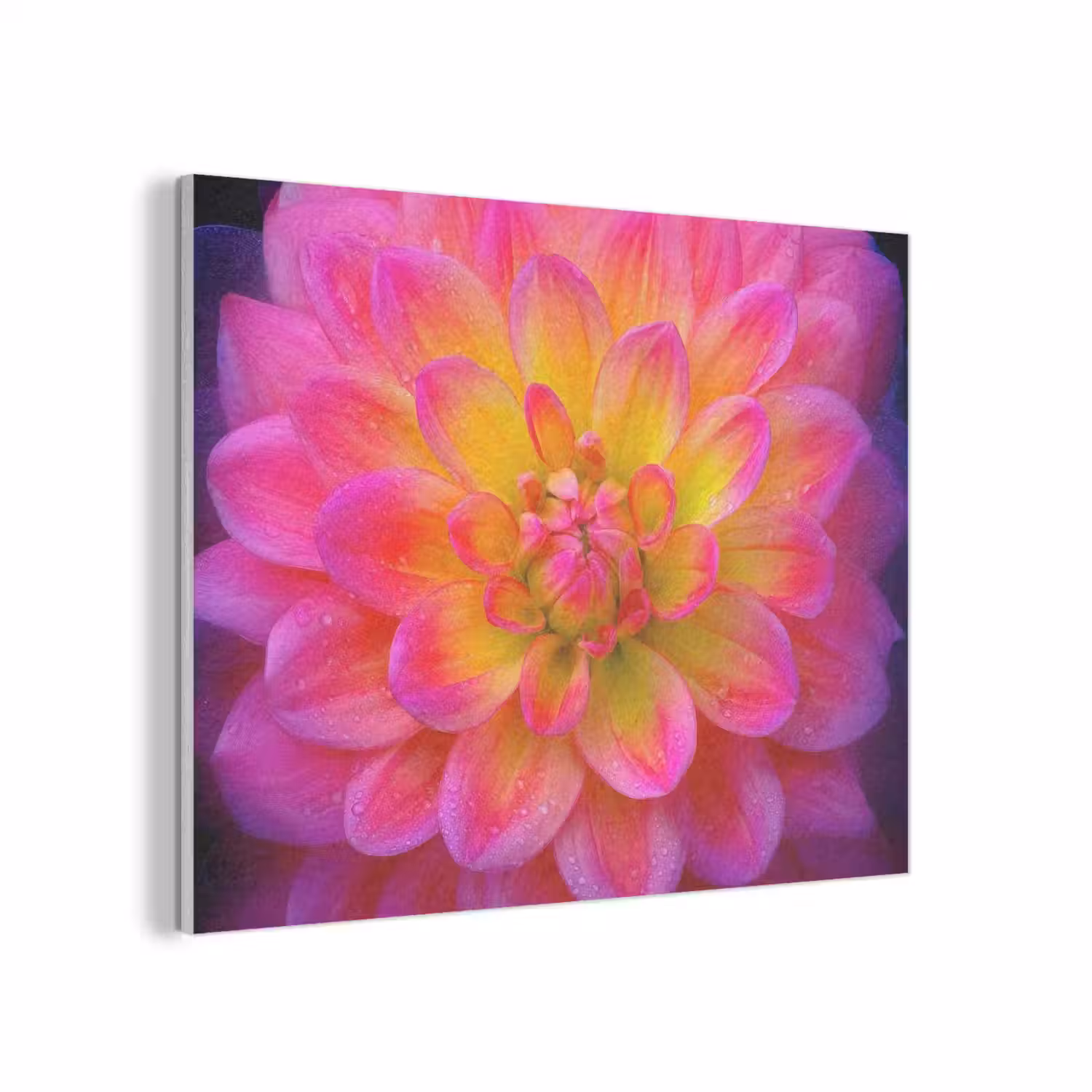 Roze - Dahlia - Kleurrijk PET vilt klein -3d