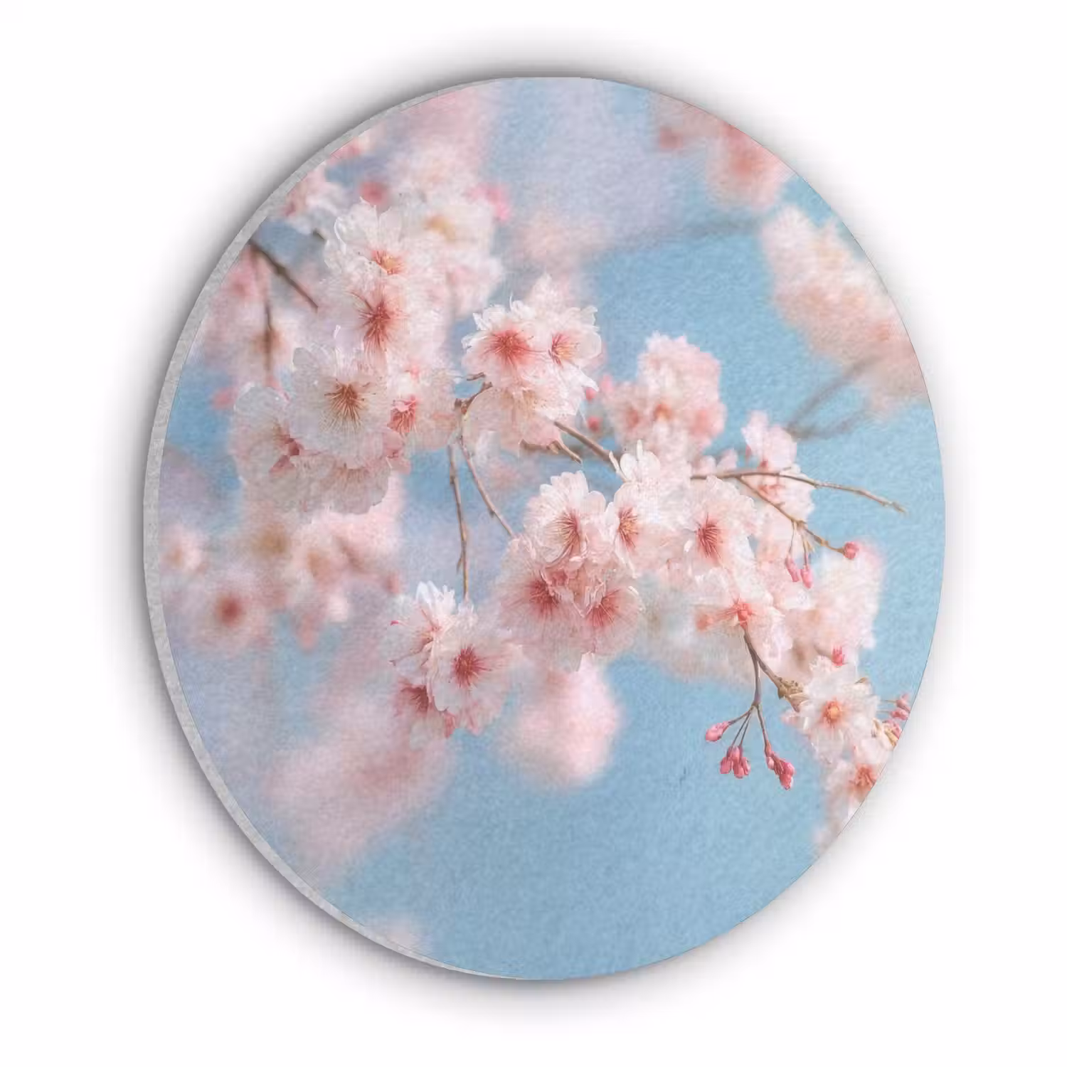 Takken - Bloesems - Roze Akoestische PET Vilt - Rond klein -3d