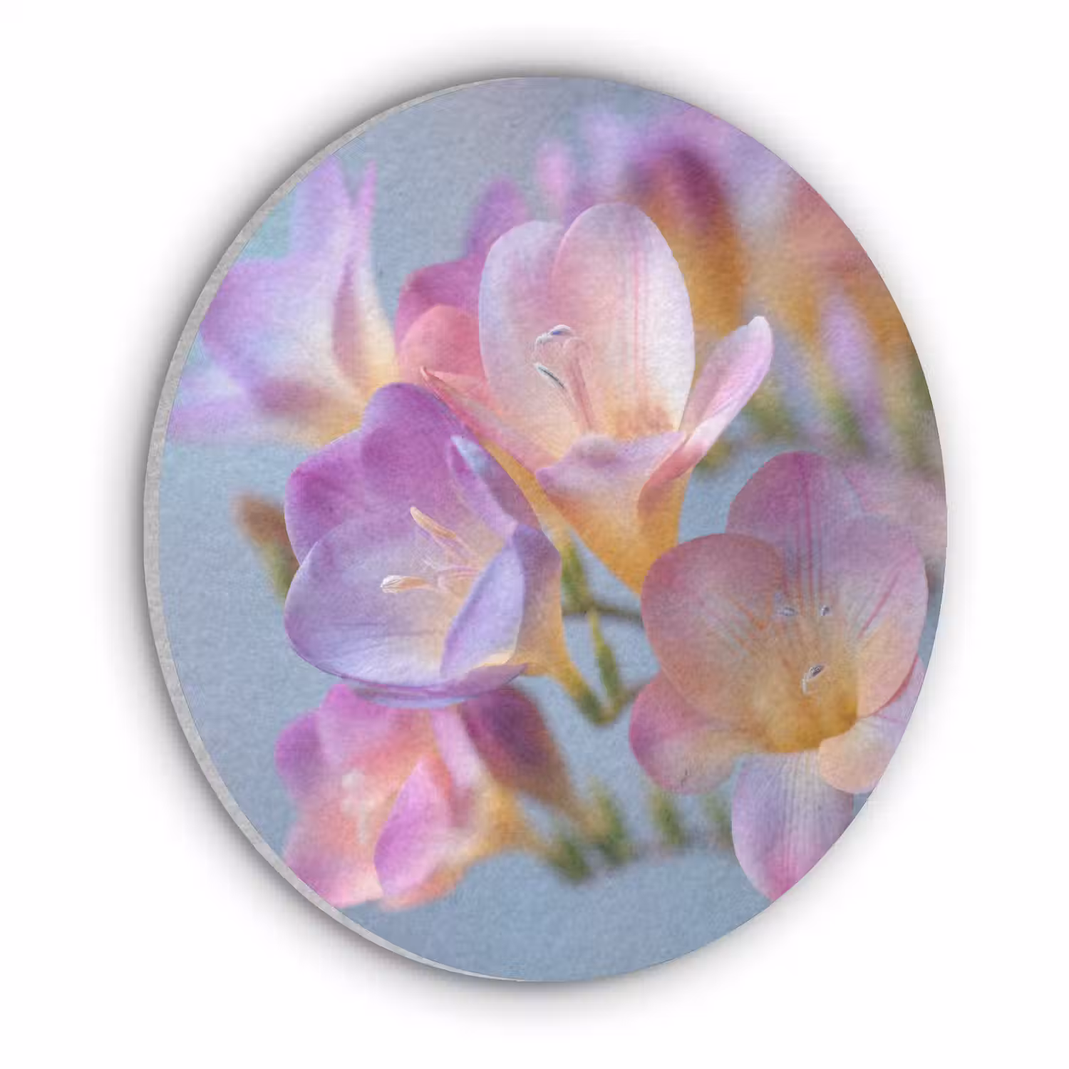 Bloemen - Paars - Overloop - Meeldraden Akoestische PET Vilt - Rond klein -3d
