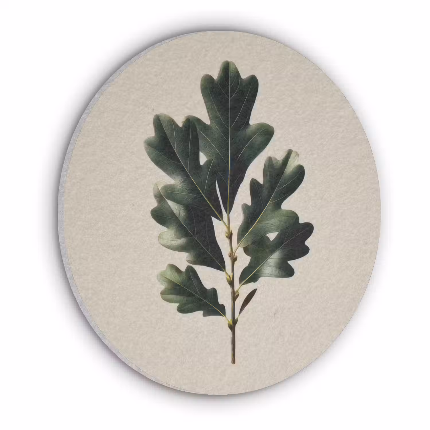 Eikenbladeren - Beige - Groen - Golvende randen Akoestische PET Vilt - Rond klein -3d