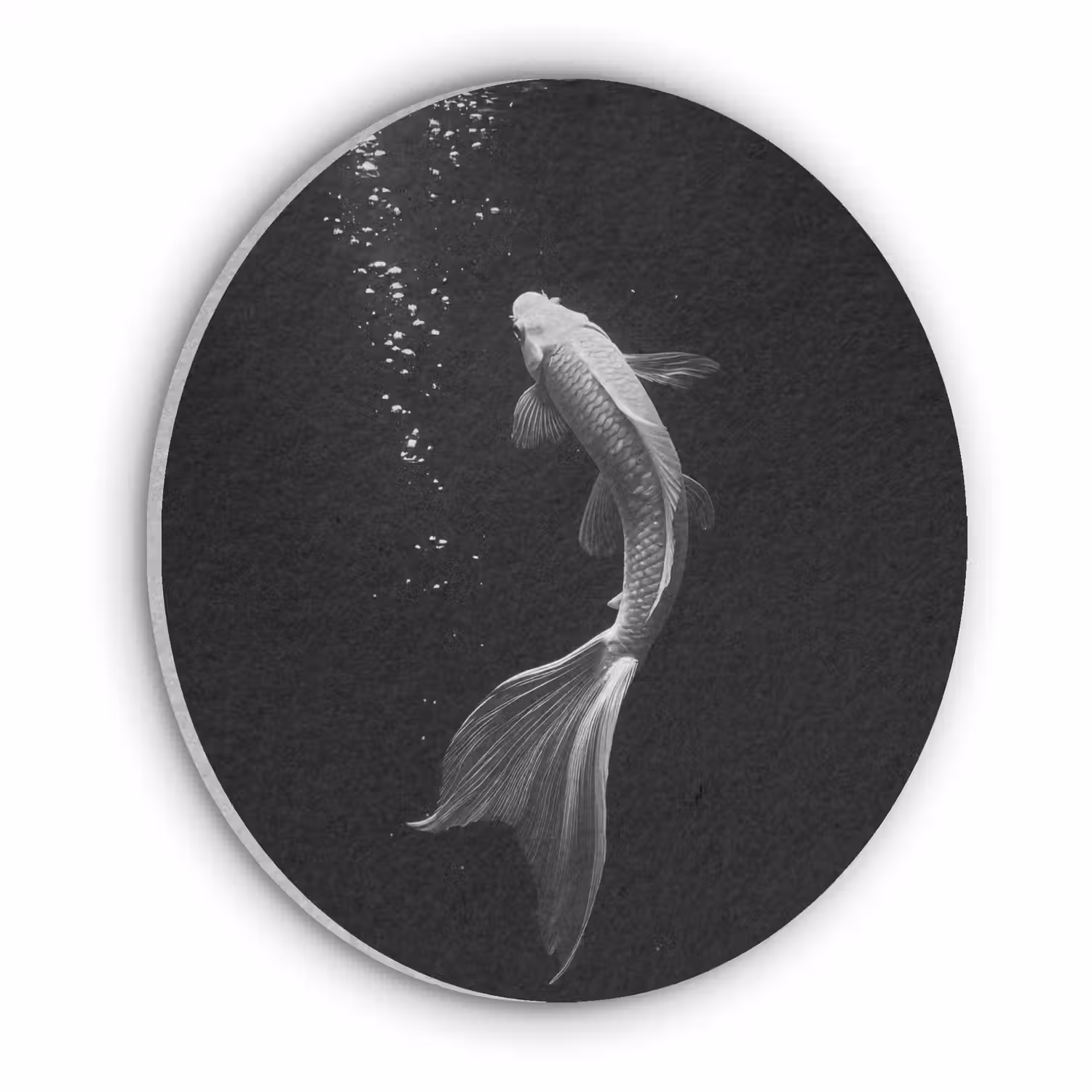 Koi - Vis - Wit - Zwart Akoestische PET Vilt - Rond klein -3d