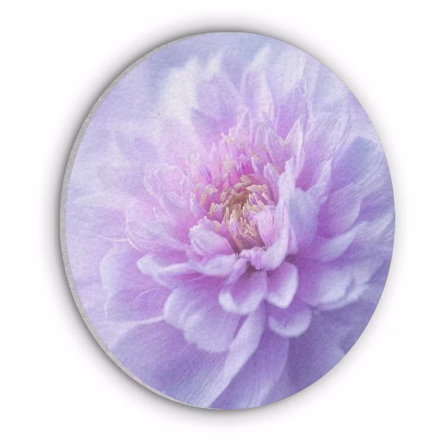 Paars - Dahlia - Dromerig Akoestische PET Vilt - Rond klein -3d