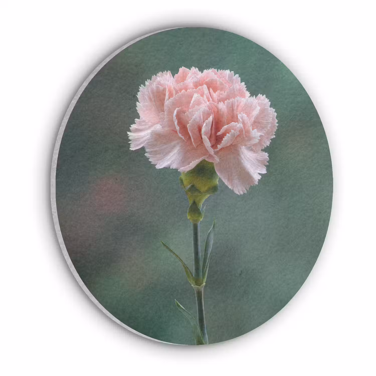 Anjer - Roze - Bloemblaadjes Akoestische PET Vilt - Rond klein -3d