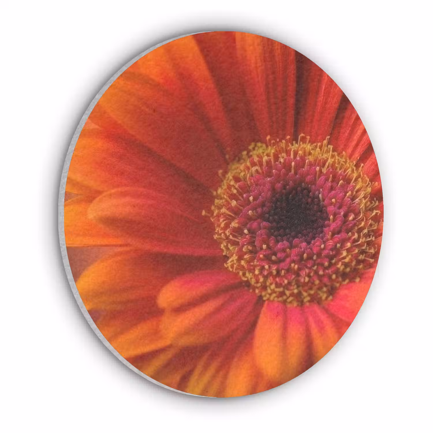 Oranje - Gerbera - Intens Akoestische PET Vilt - Rond klein -3d