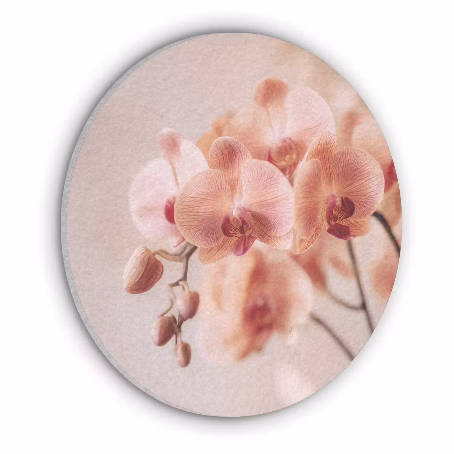Orchidee - Bloemen - Roze - Bloemblaadjes Akoestische PET Vilt - Rond klein -3d