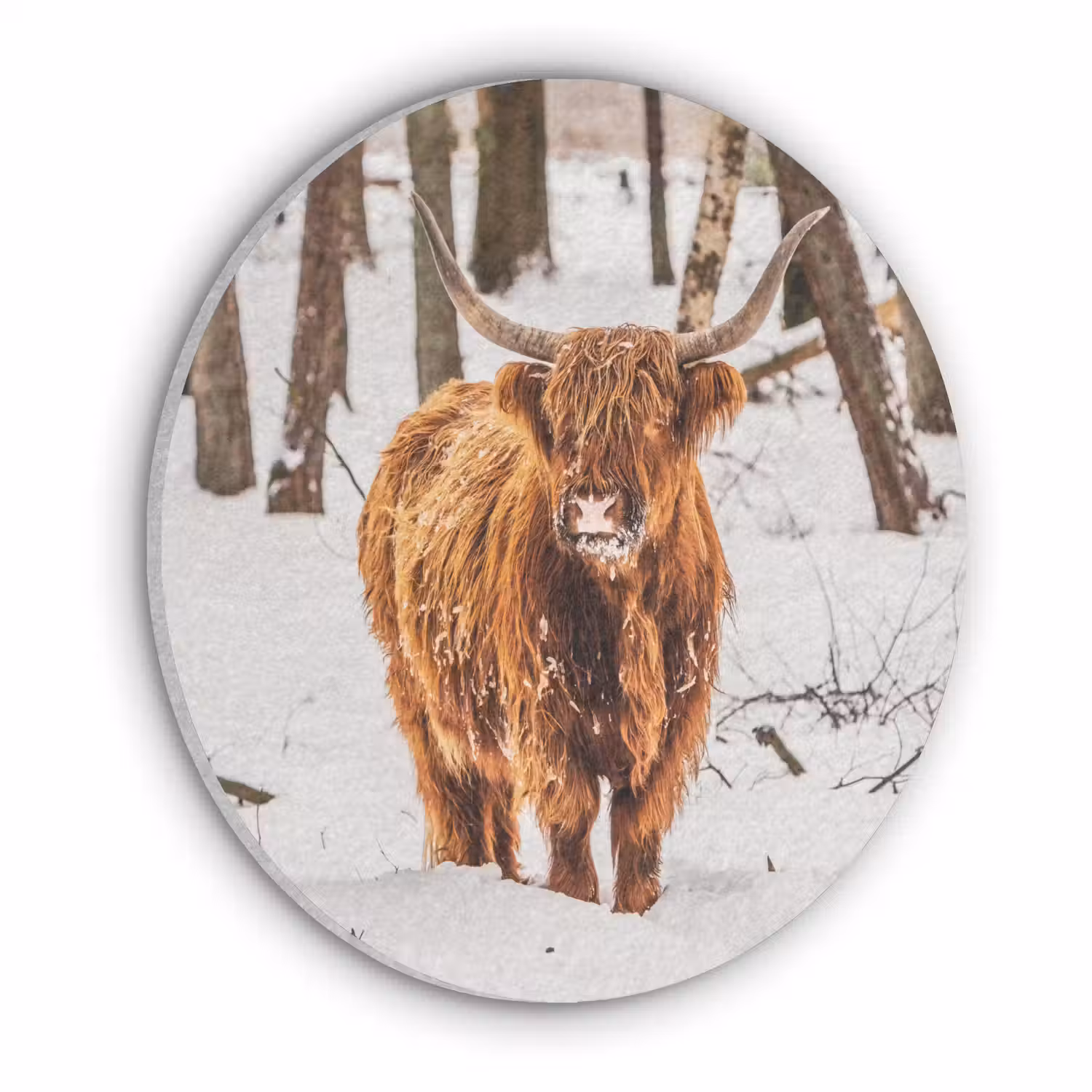 Schotse Hooglander - Sneeuw - Winter - Natuur - Dieren Akoestische PET Vilt - Rond klein -3d