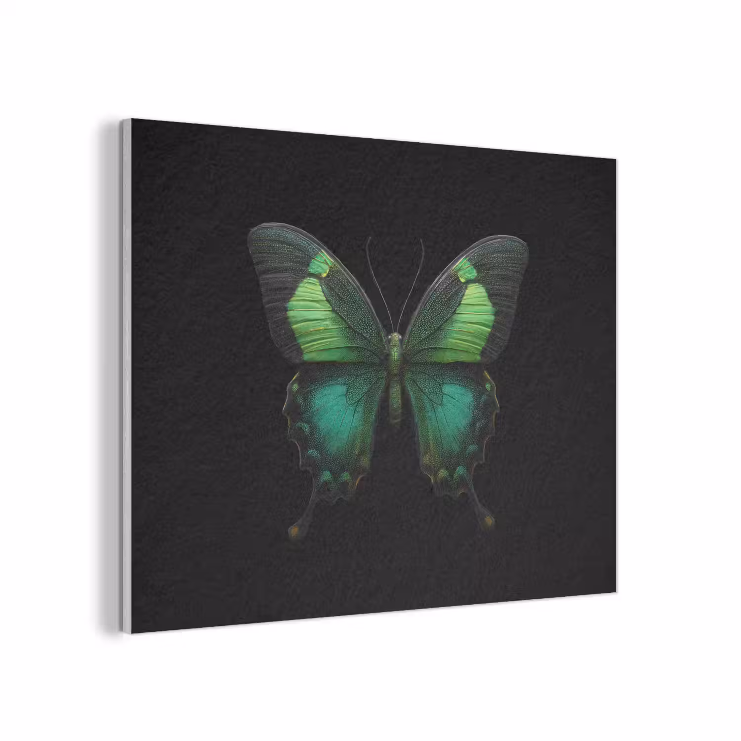 Vlinder - Groen - Opvallend PET vilt klein -3d