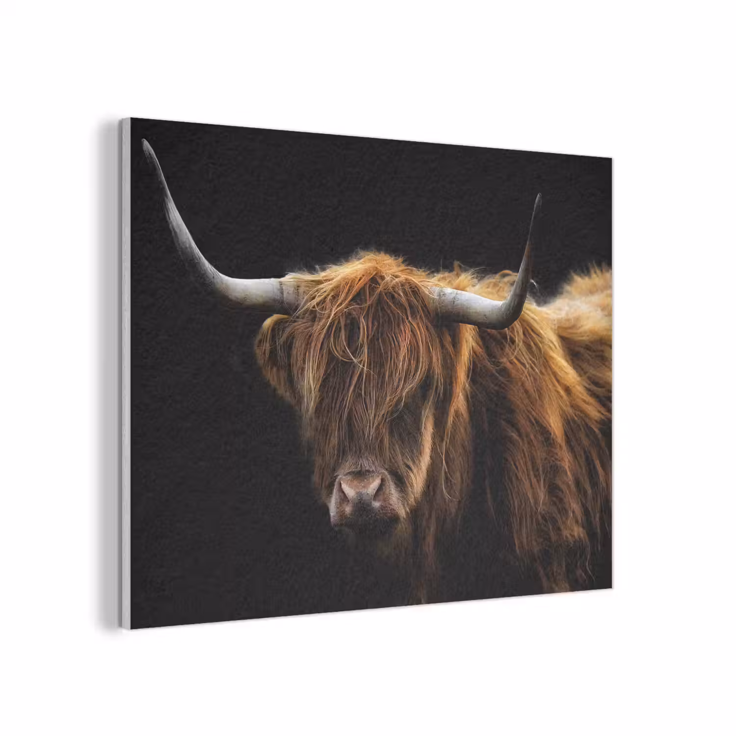 Schotse Hooglander - Horens - Zwart - Dieren - Natuur - Wild - Koe PET vilt klein -3d
