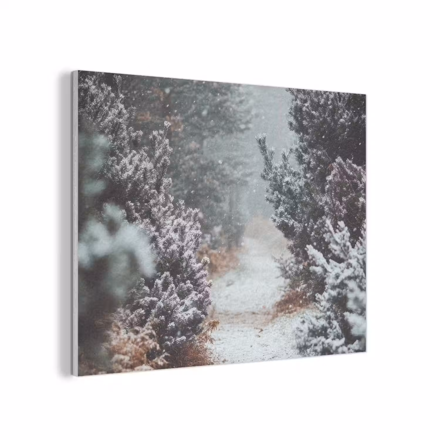 Bos - Winter - Bomen - Natuur - Pad - Sneeuw PET vilt klein -3d
