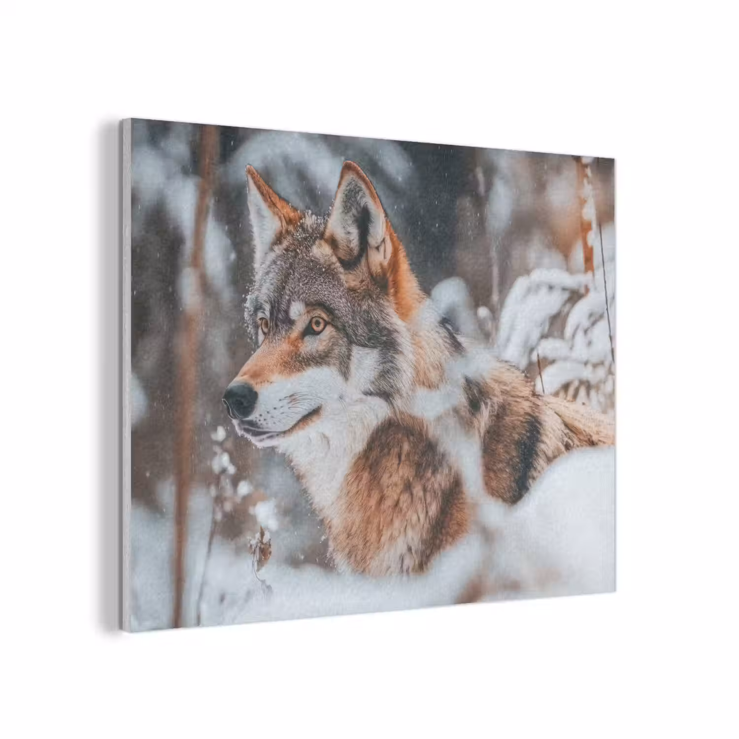 Wolf - Sneeuw - Winter - Dieren - Natuur - Sneeuw PET vilt klein -3d