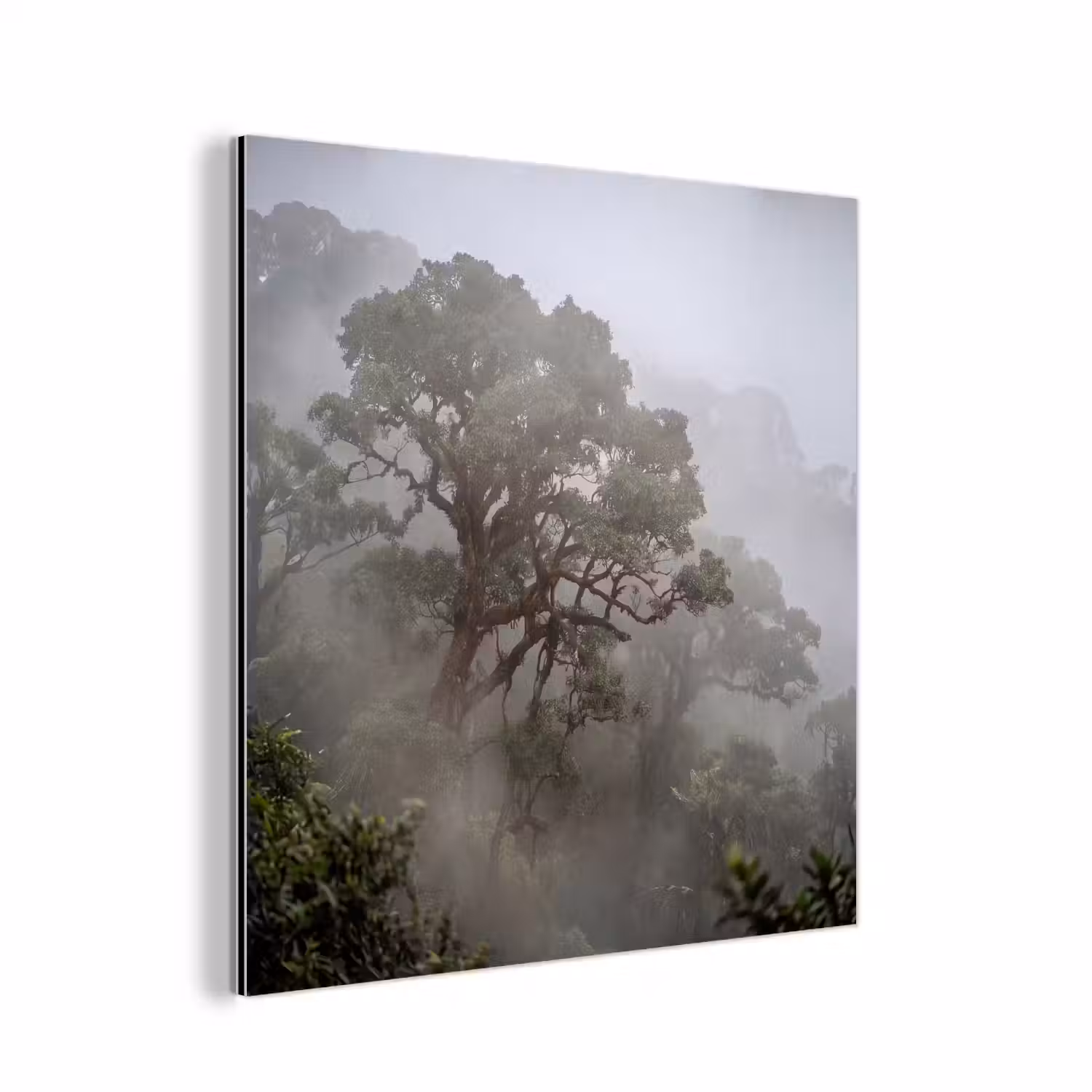 Boom - Mistig - Bos - Groen - Natuur aluminium wit klein -3d