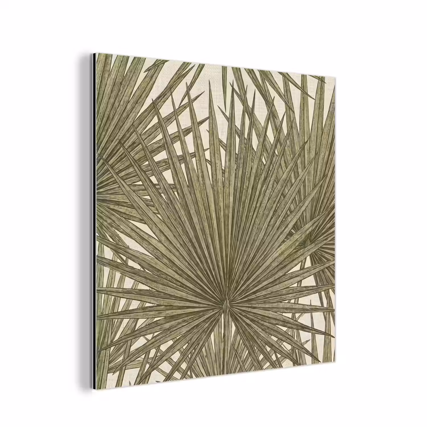 Blad - Tropisch - Patroon - Natuur - Groen aluminium wit klein -3d