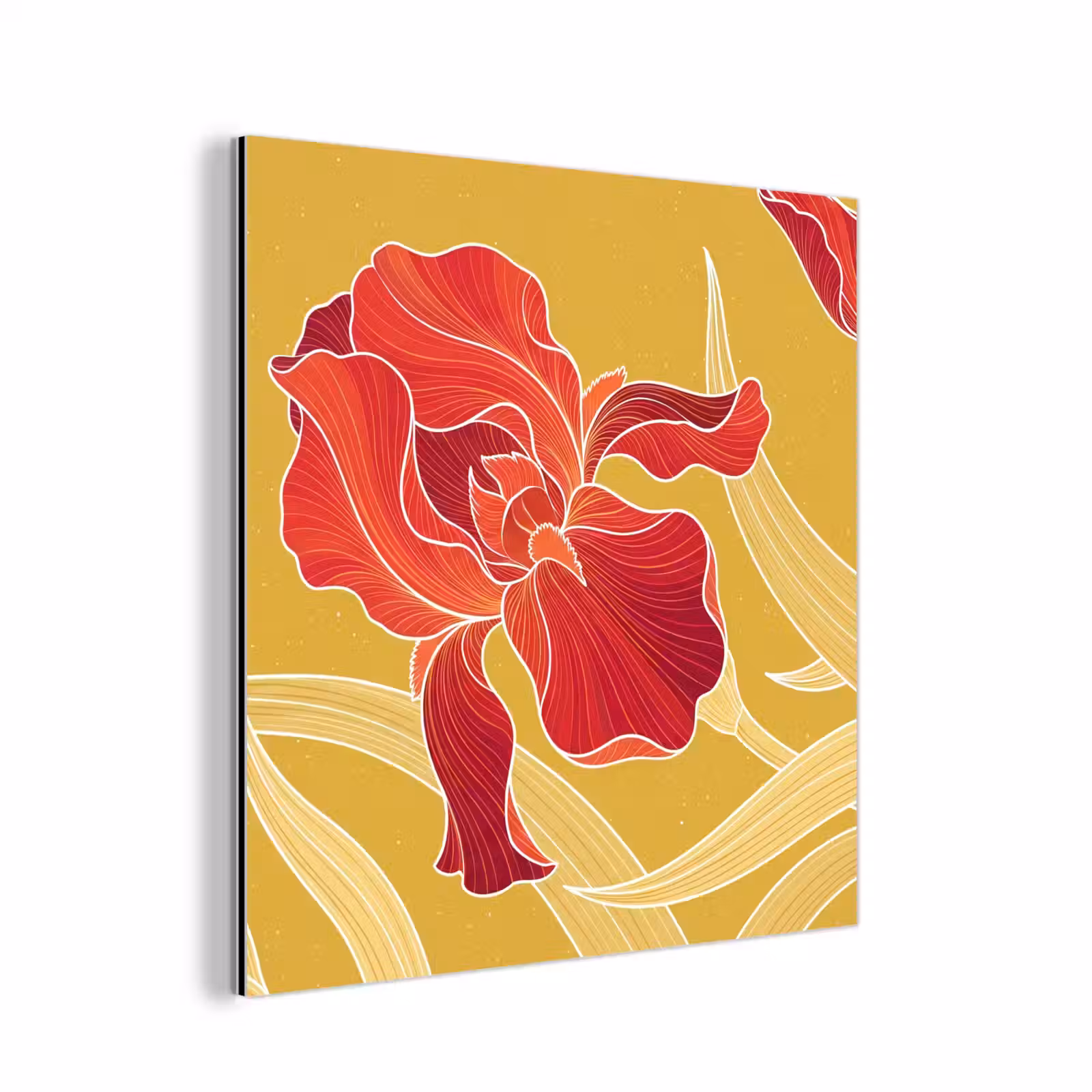 Alu-Dibond-Bild - Blumen – Illustration – Rot - Bloemen - Illustratie - Rood aluminium wit klein