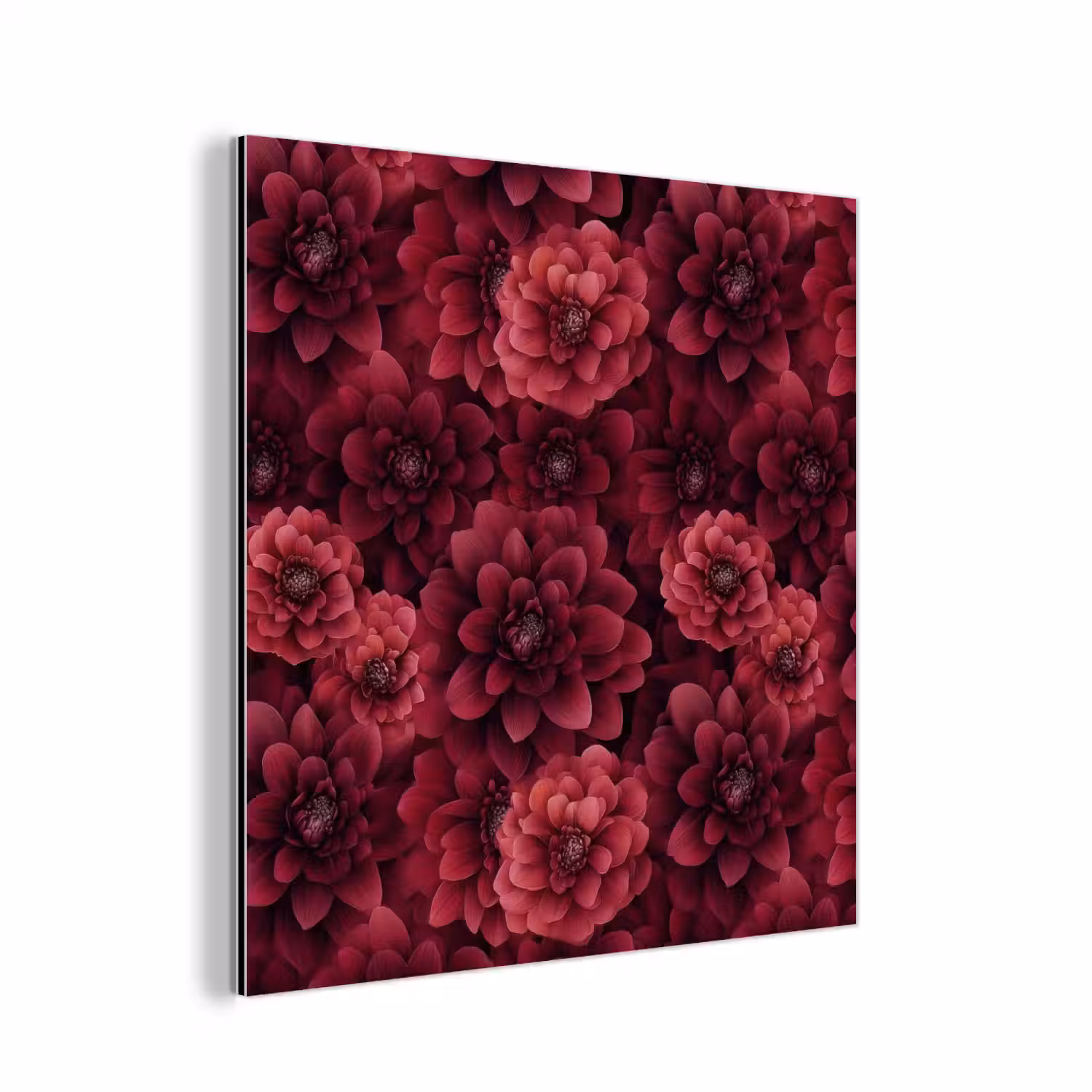 Dahlias - Bloemen - Rood aluminium wit klein 46 -3d