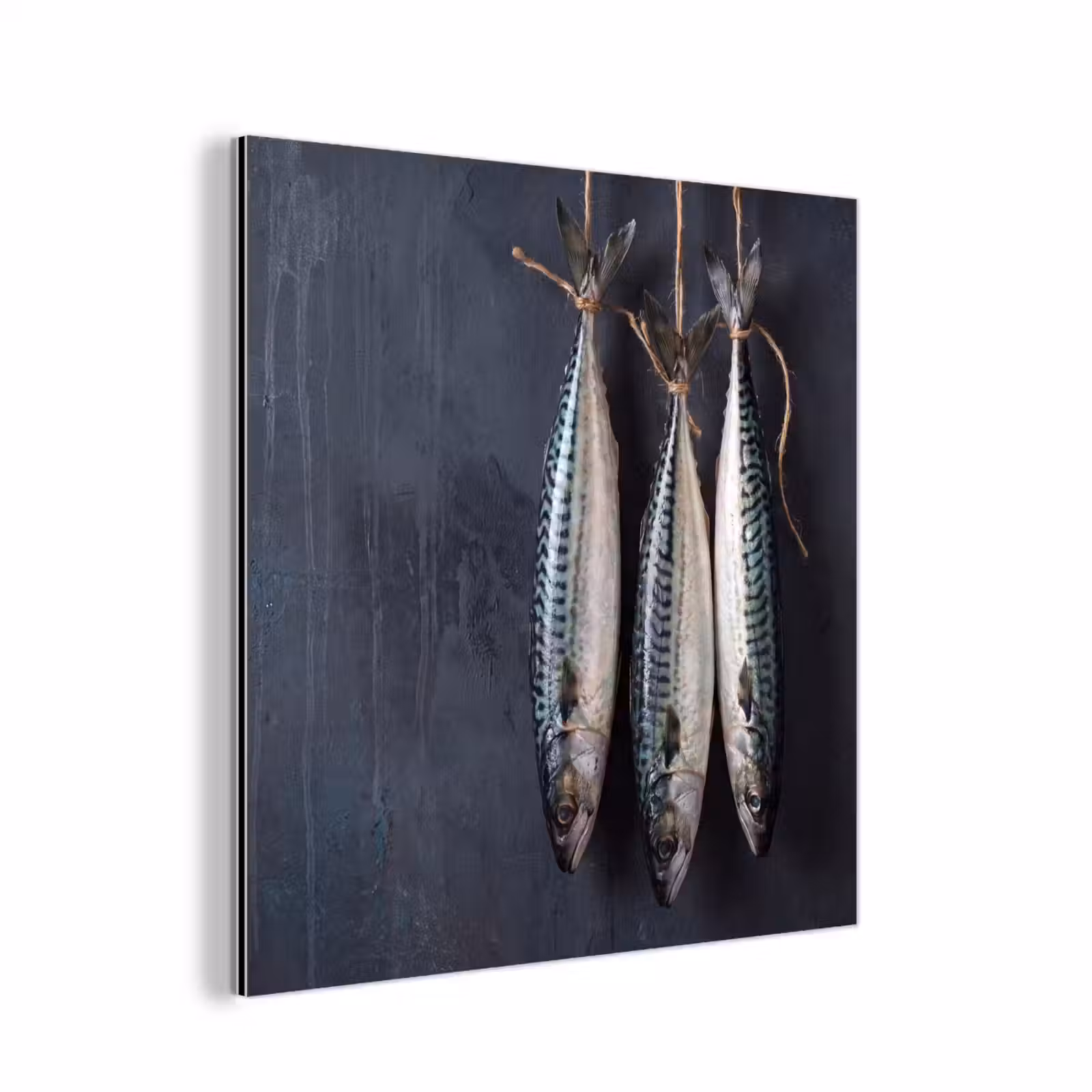 Alu-Dibond-Bild - Drei Fische – Seil - Drie vissen - Touw aluminium wit klein