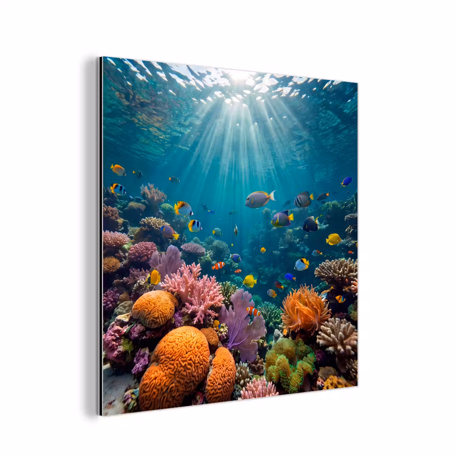 Vis - Koraal - Oceaan - Natuur - Kleurrijk aluminium wit klein -3d