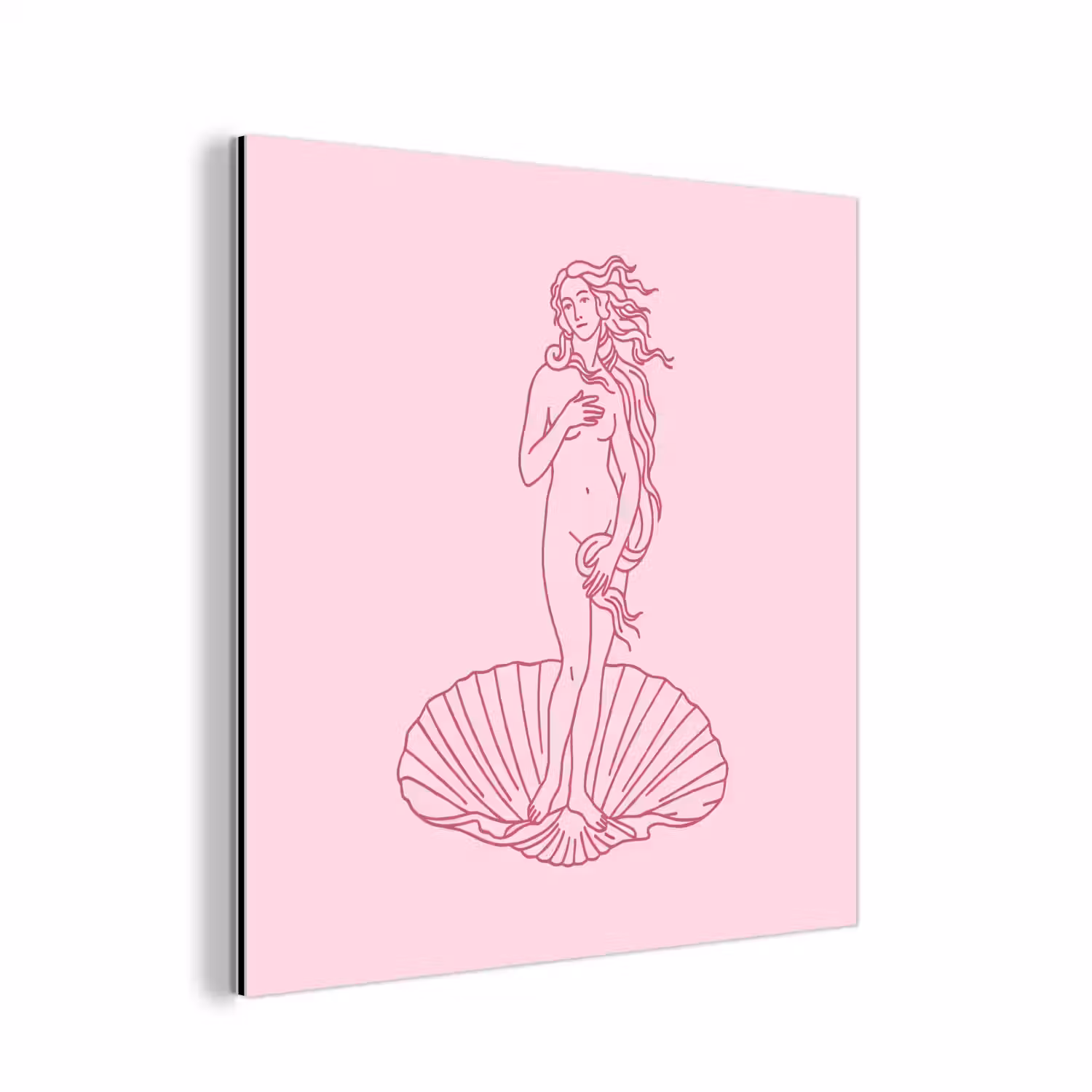 Vrouw - Schelp - Kunst - Lijntekening - Roze aluminium wit klein -3d