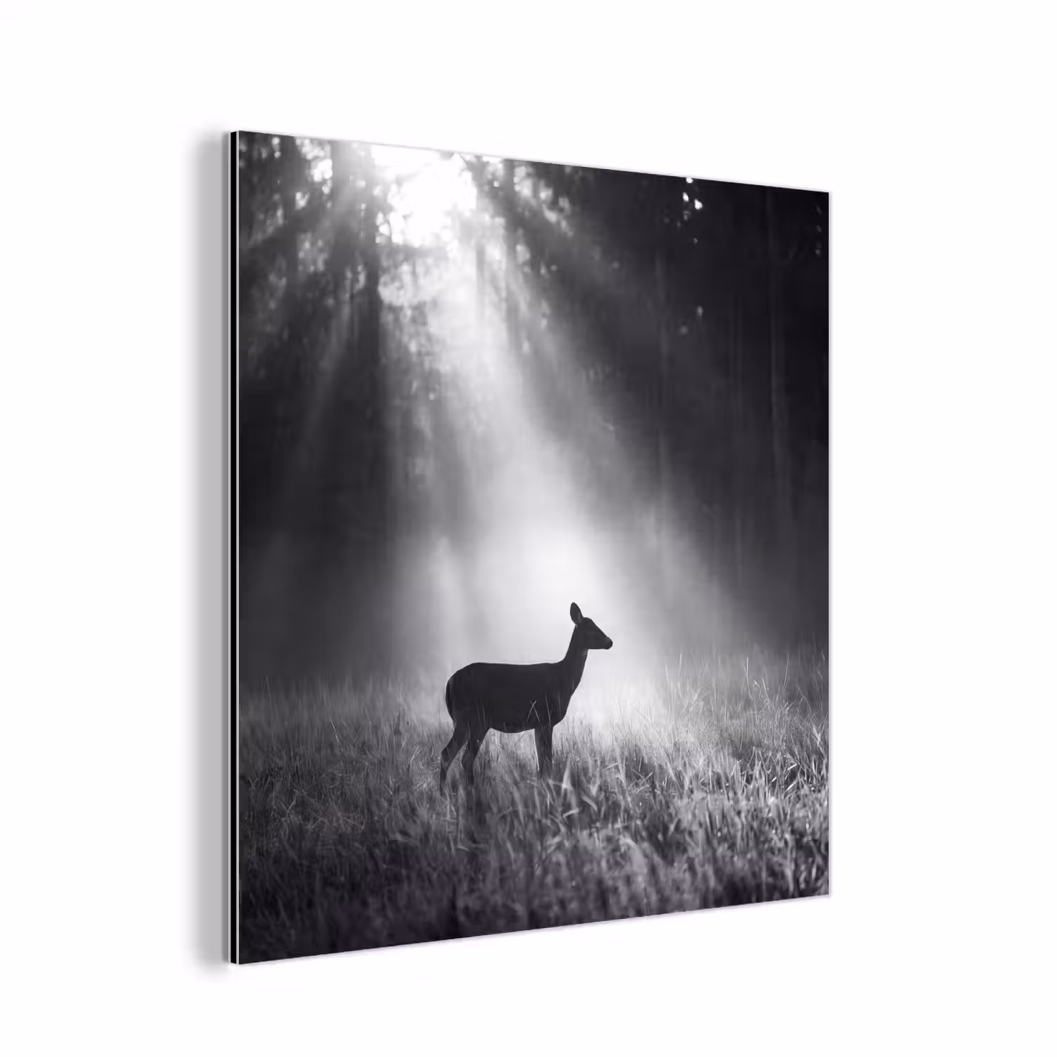 Hert - Bos - Zonnestralen - Zwart-wit - Natuur aluminium wit klein -3d