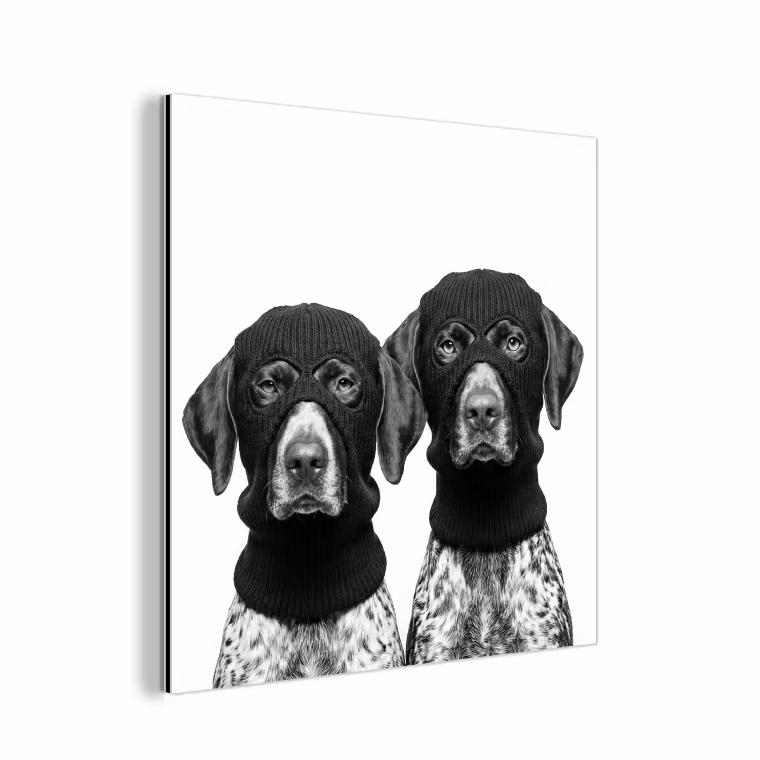 Honden - Bivakmuts - Zwart - wit aluminium wit klein -3d