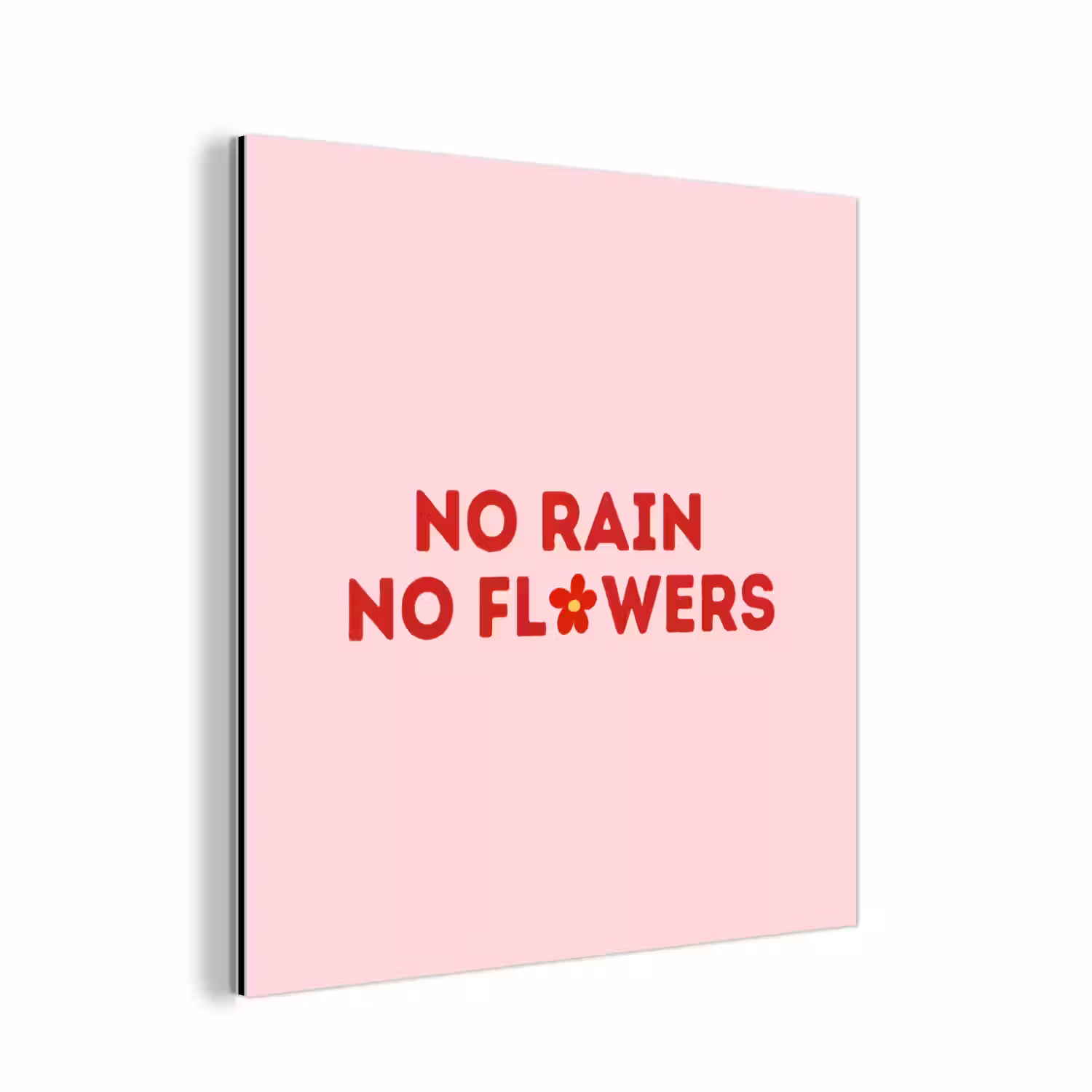 No rain no flowers - Minimalistisch - Roze - Bloem aluminium wit klein -3d