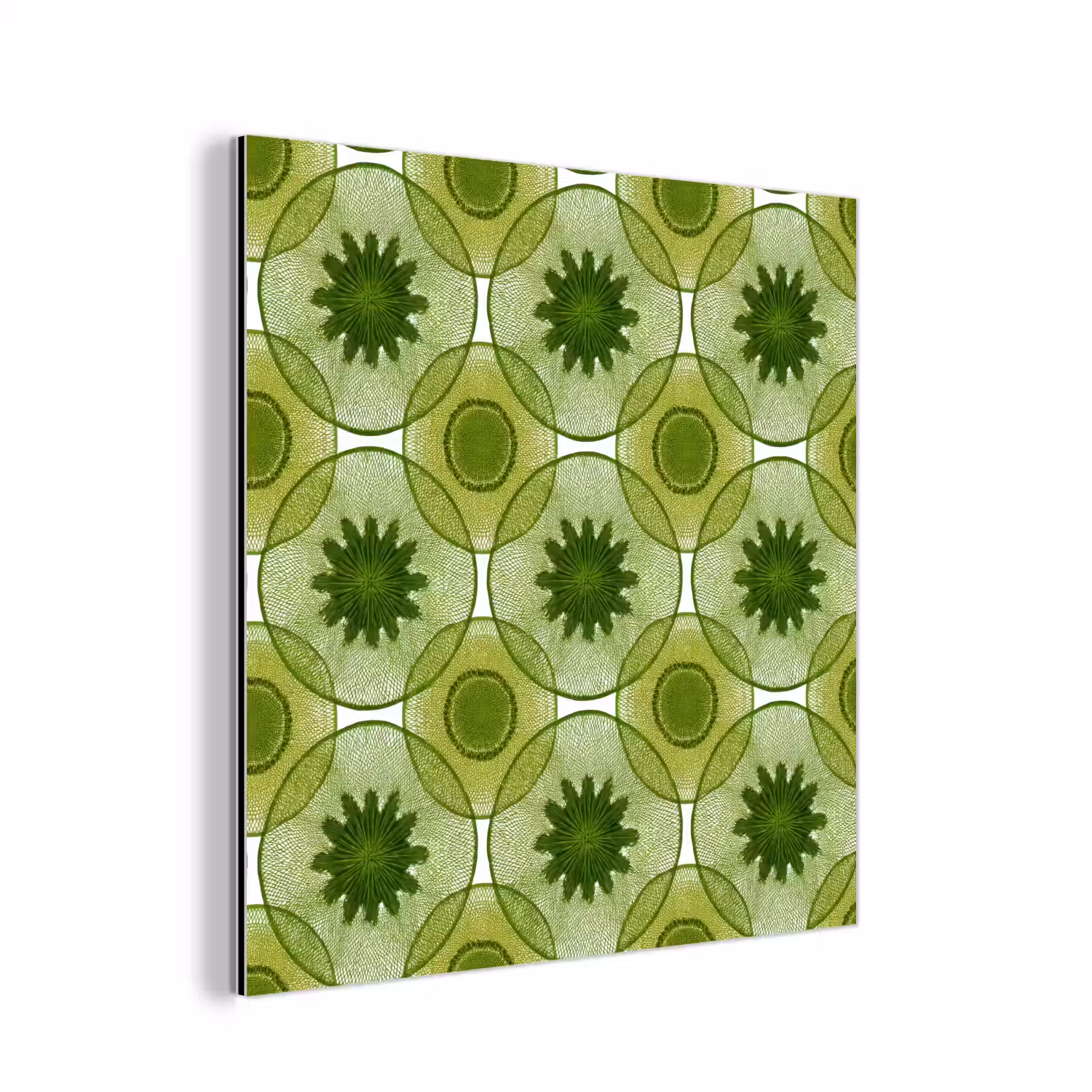 Cirkels - Patroon - Groen aluminium wit klein 46 -3d