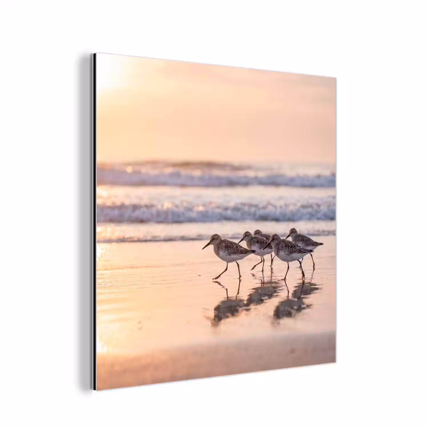 Zee - Vogels - Strand aluminium wit klein -3d