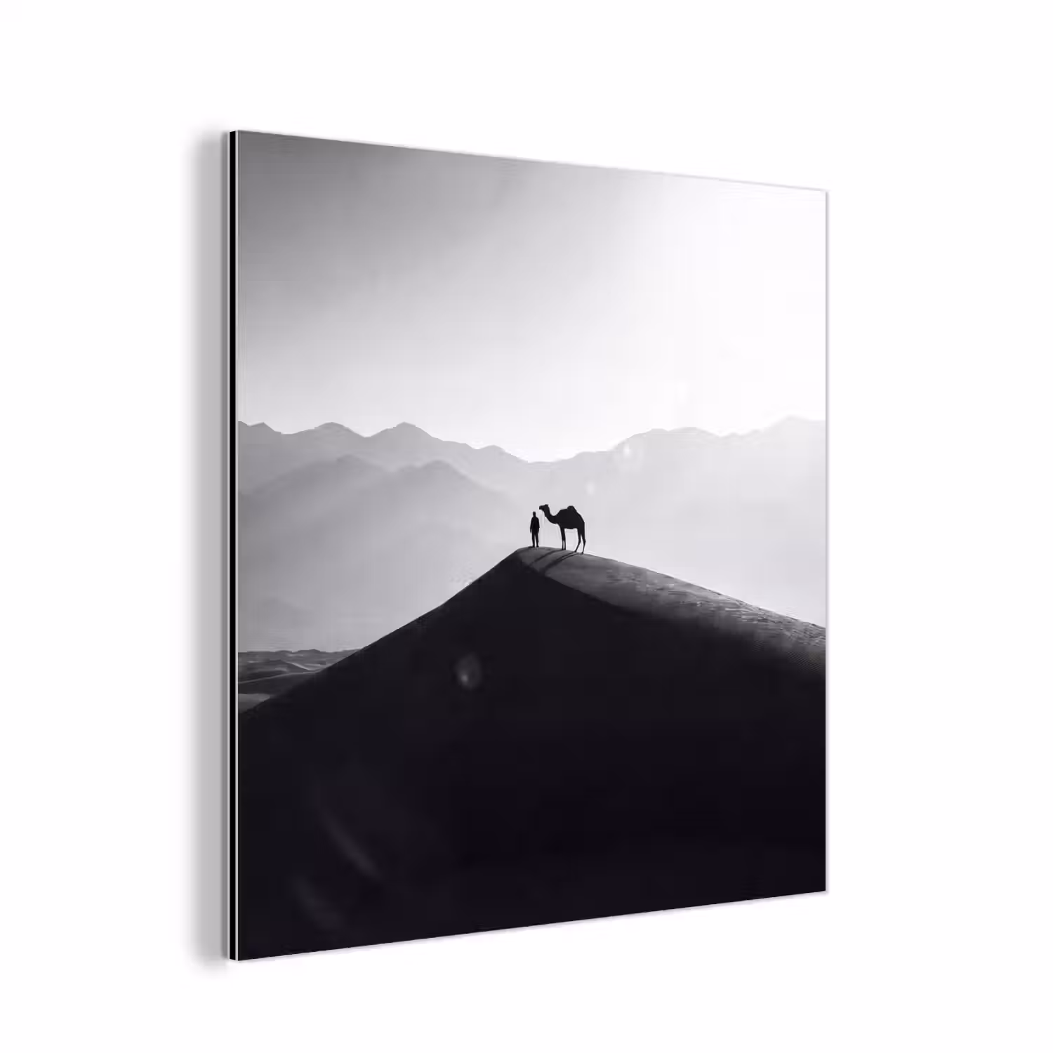 Mens - Kameel - Zandduin - Natuur - Monochroom aluminium wit klein -3d