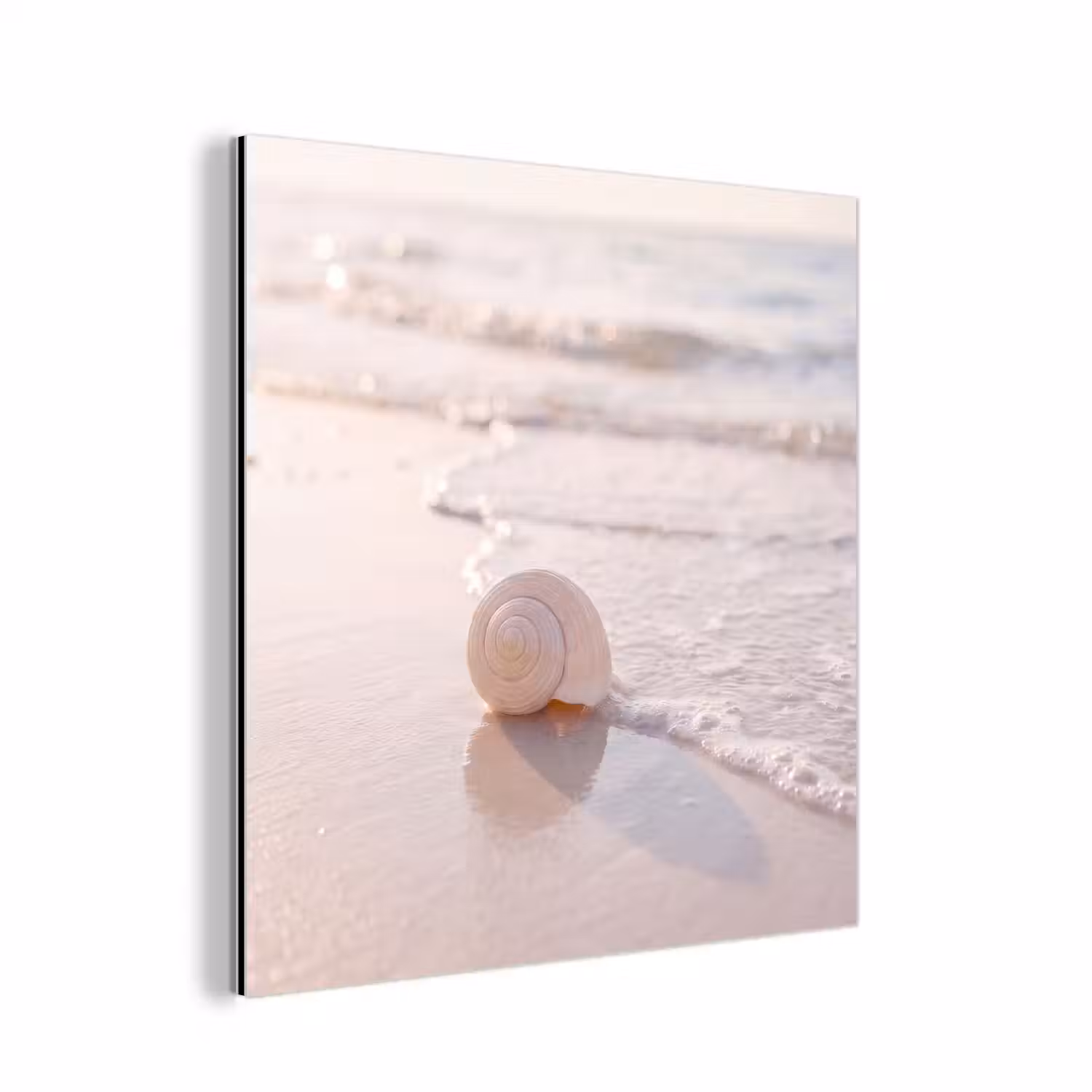 Zeeschelp - Strand - Zee - Natuur - Beige aluminium wit klein -3d
