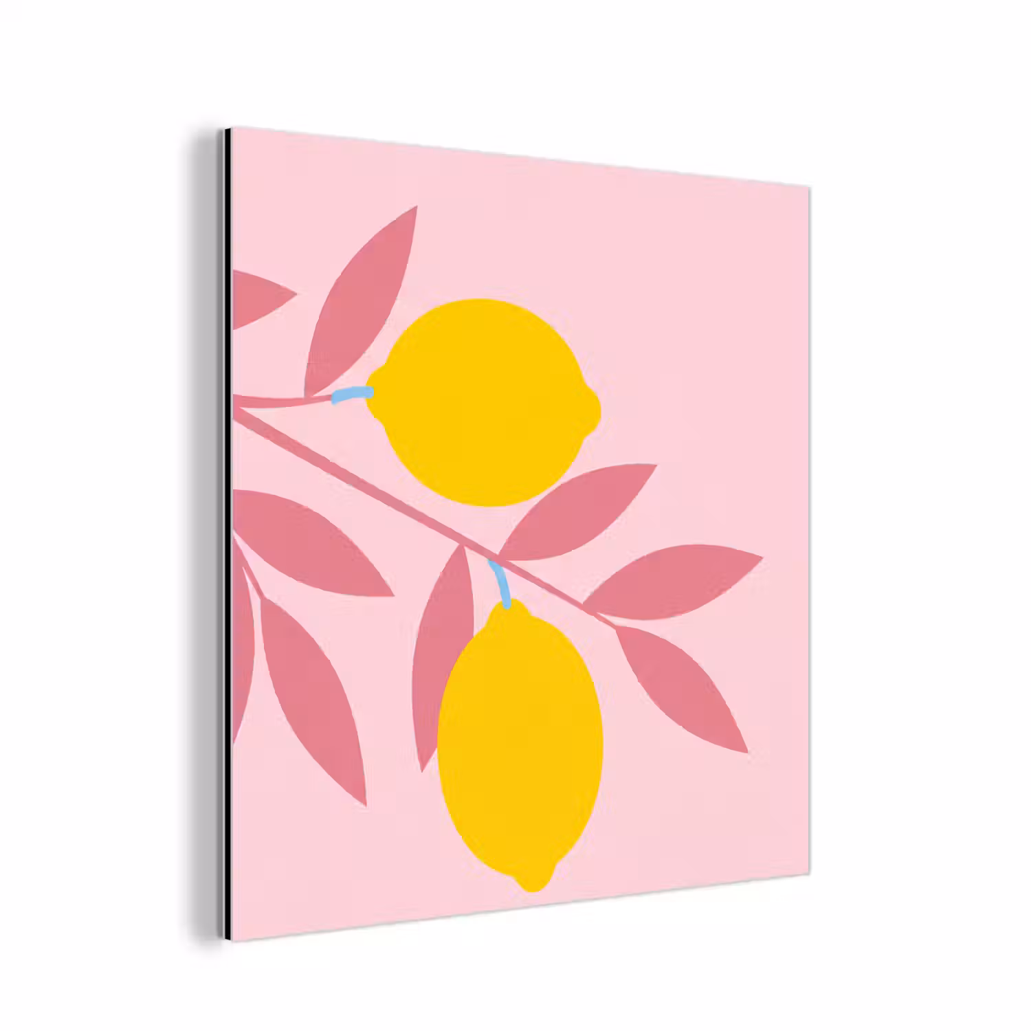 Fruit - Tak - Natuur - Abstract - Roze aluminium wit klein -3d