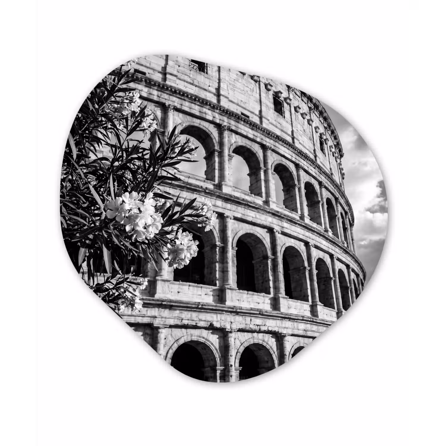 Architectuur - Colosseum - Rome - Historisch - Zwart-wit Wandcirkel Organisch Aluminium middel -3d