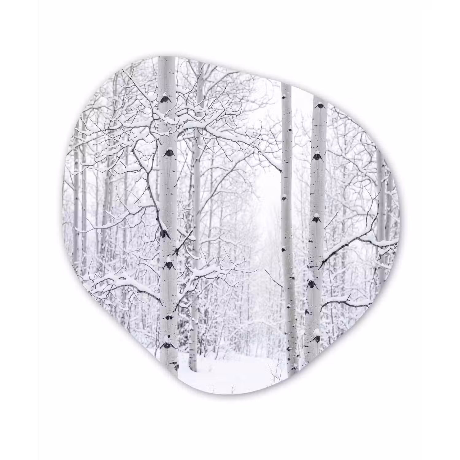 Berkenbomen - Sneeuw - Winter - Bos - Wit Wandcirkel Organisch Aluminium middel -3d