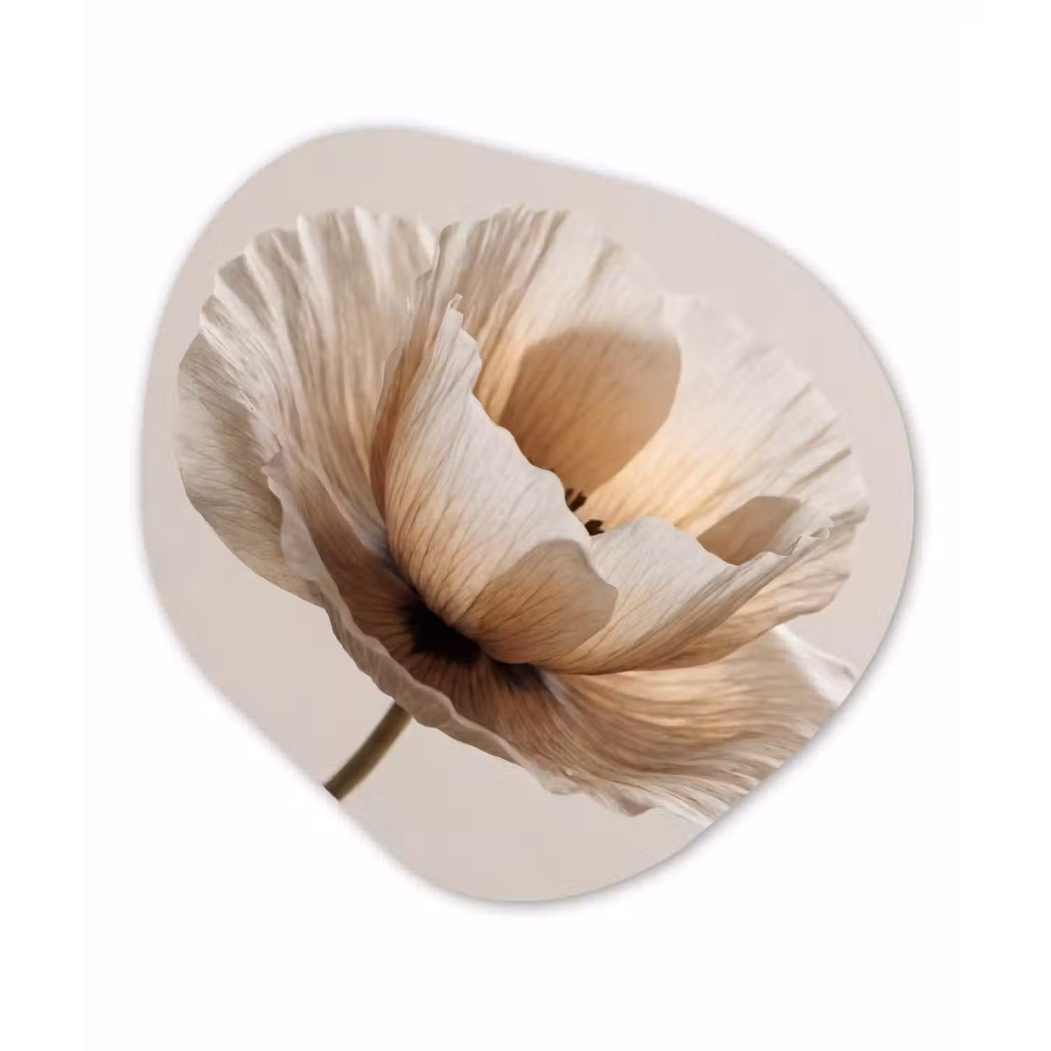 Bloem - Beige - Crème Wandcirkel Organisch Aluminium middel -3d