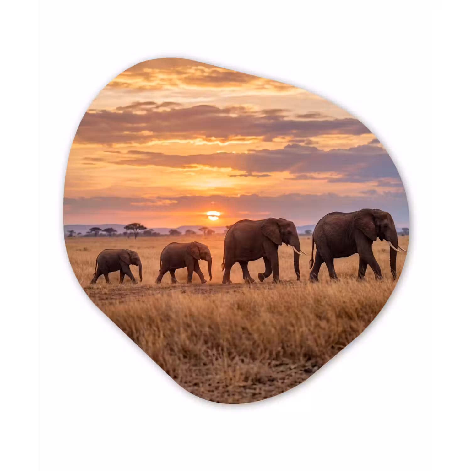 Olifanten - Savanne - Zonsondergang - Afrika - Warm Wandcirkel Organisch Aluminium middel -3d