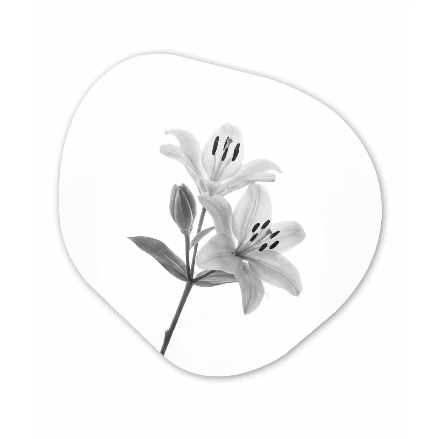 Lelies - Elegant - Zwart - Wit Wandcirkel Organisch Aluminium middel -3d
