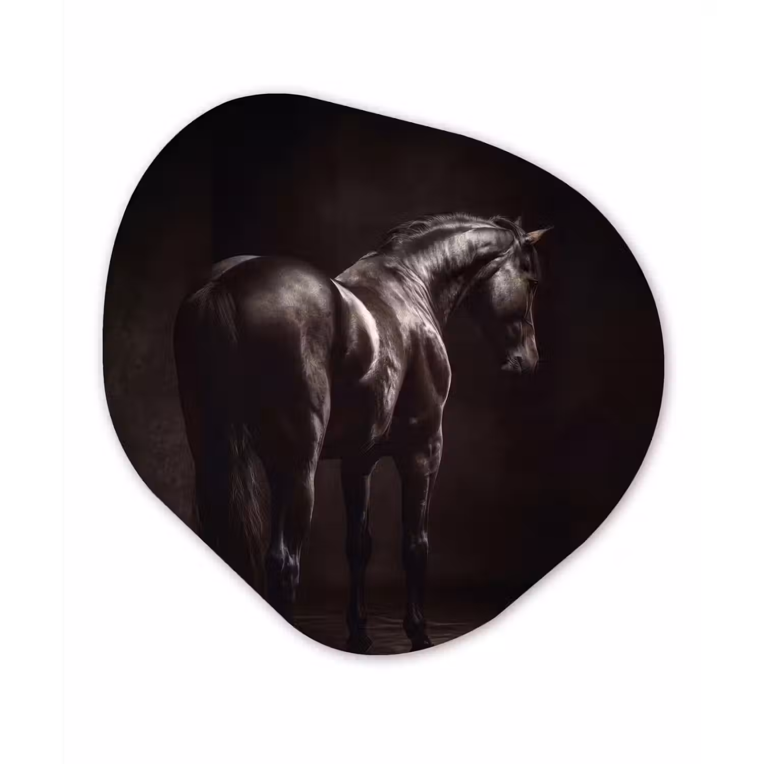 Krachtig - Paard - Donker Wandcirkel Organisch Aluminium middel -3d