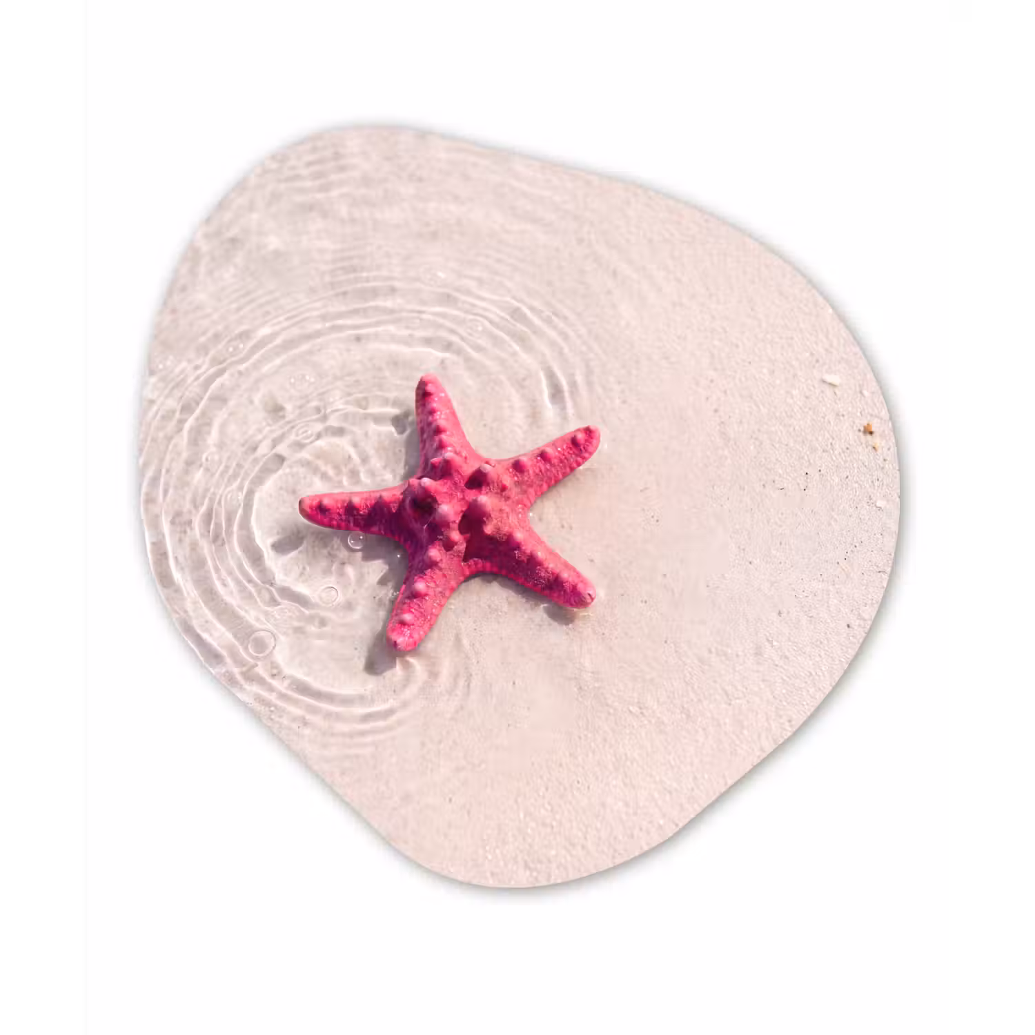 Zeeleven - Zeester - Strand - Roze - Water Wandcirkel Organisch Aluminium middel -3d