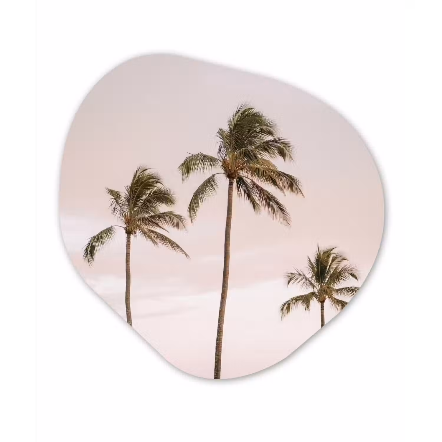 Palmbomen - Zonsondergang - Roze Wandcirkel Organisch Aluminium middel -3d