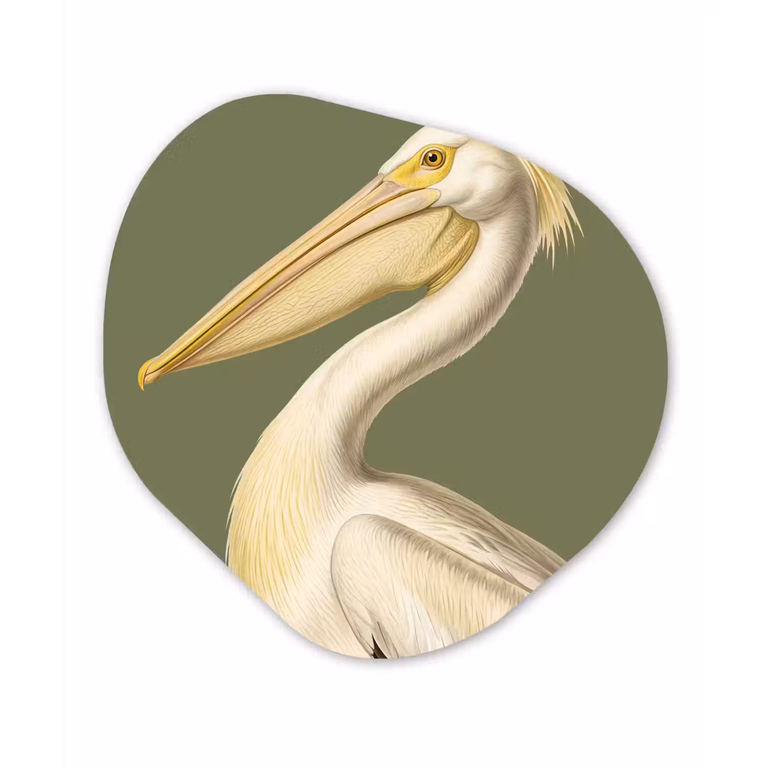 Pelikaan - Wit - Vogel - Klassiek - Natuur Wandcirkel Organisch Aluminium middel -3d