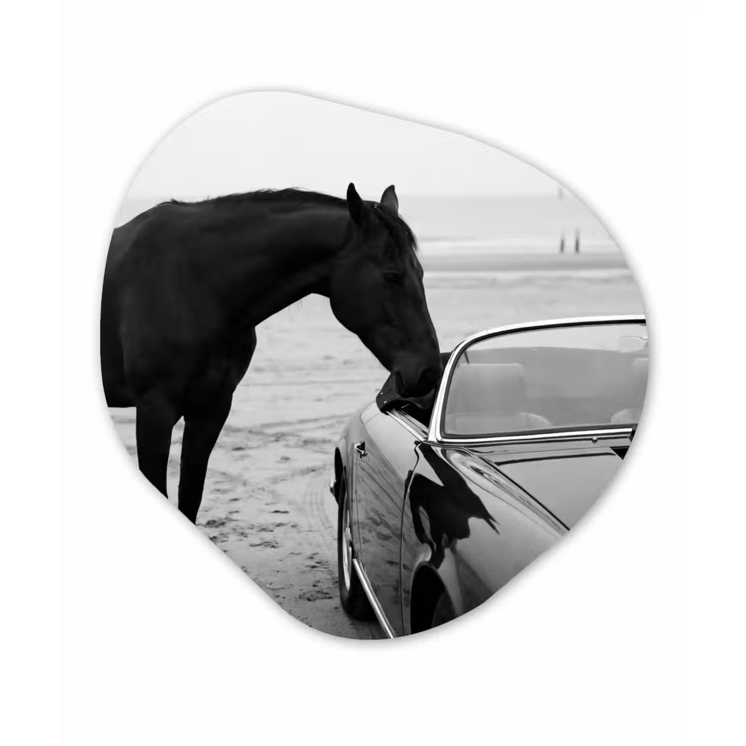Paard - Auto - Zwart - Wit Wandcirkel Organisch Aluminium middel -3d